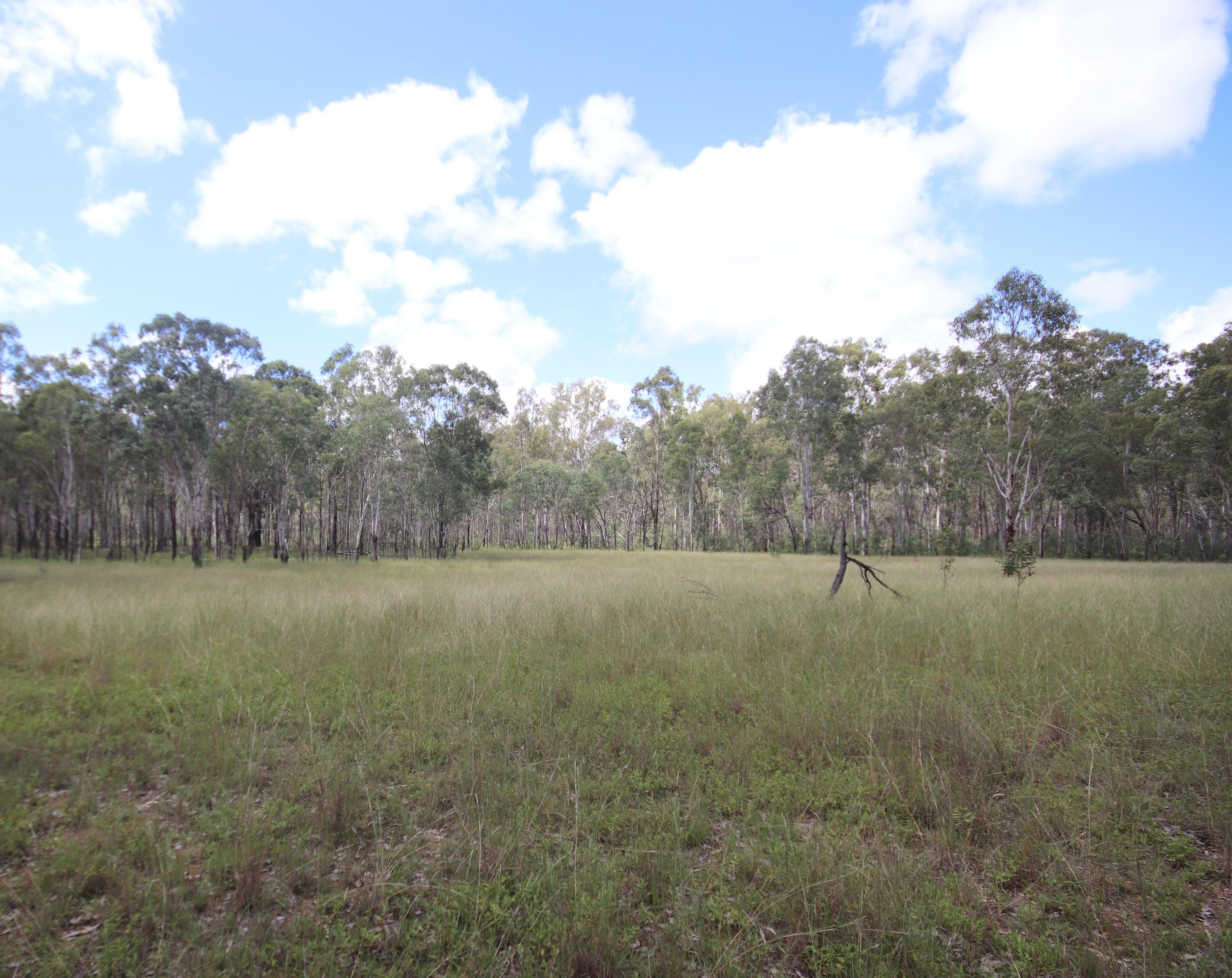 'Greentree' MundubberaDurong Road, Mundubbera, QLD 4626 Rural