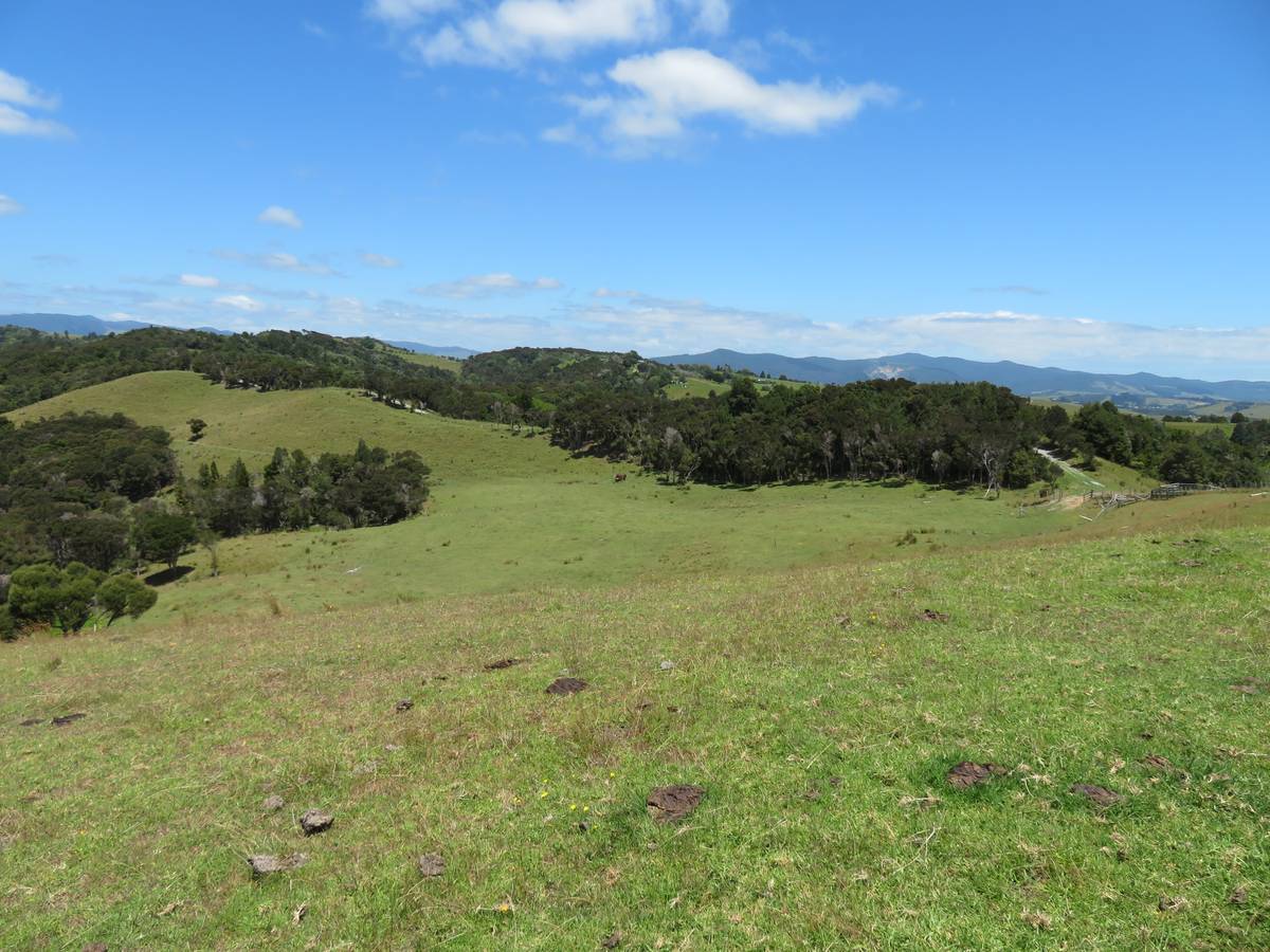 Lot 168 Church Road, Kaitaia, Far North District Real Estate Ray White New Zealand