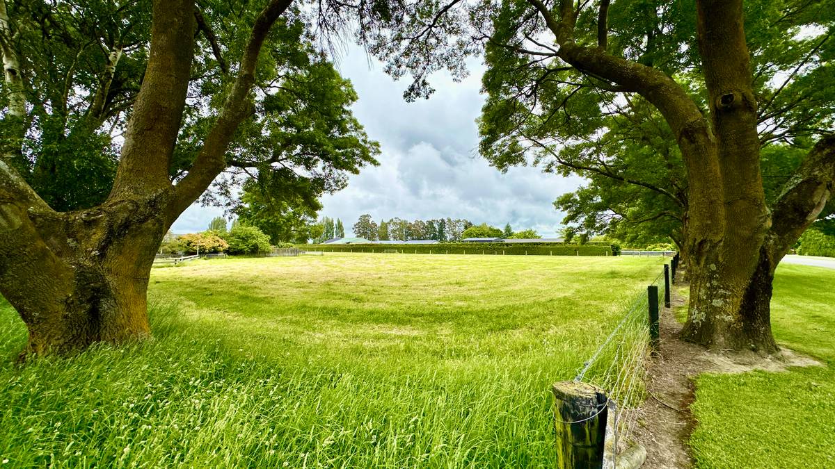 Lot 1/90 Wilkins Road, Tinwald, Ashburton District Real Estate Ray