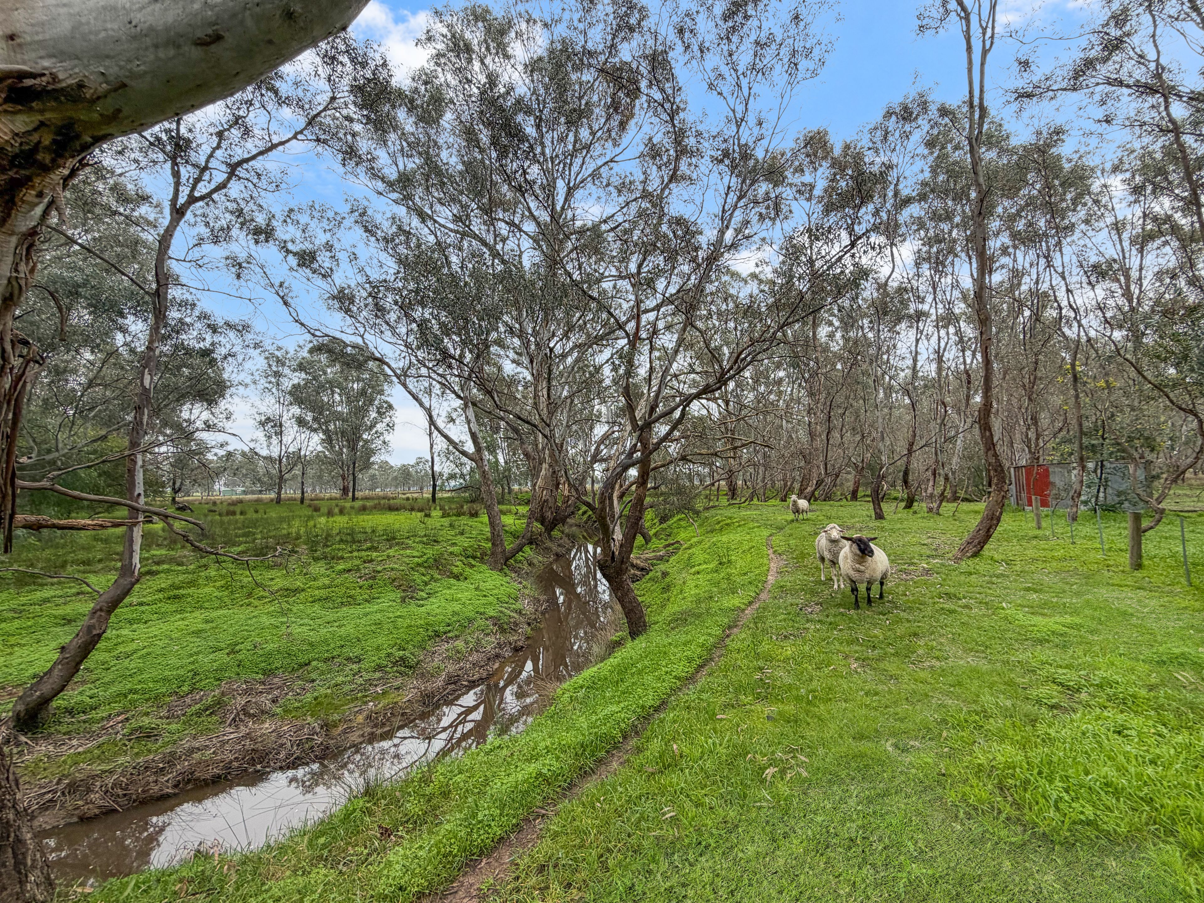 20 Toohey Street — photo 19 of 20