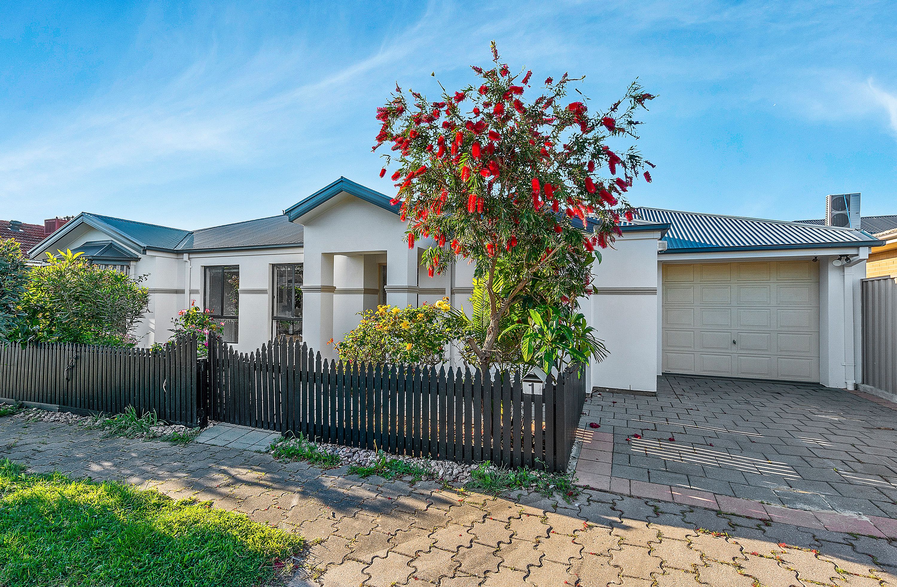 1 Bluebell Road, Windsor Gardens SA 5087