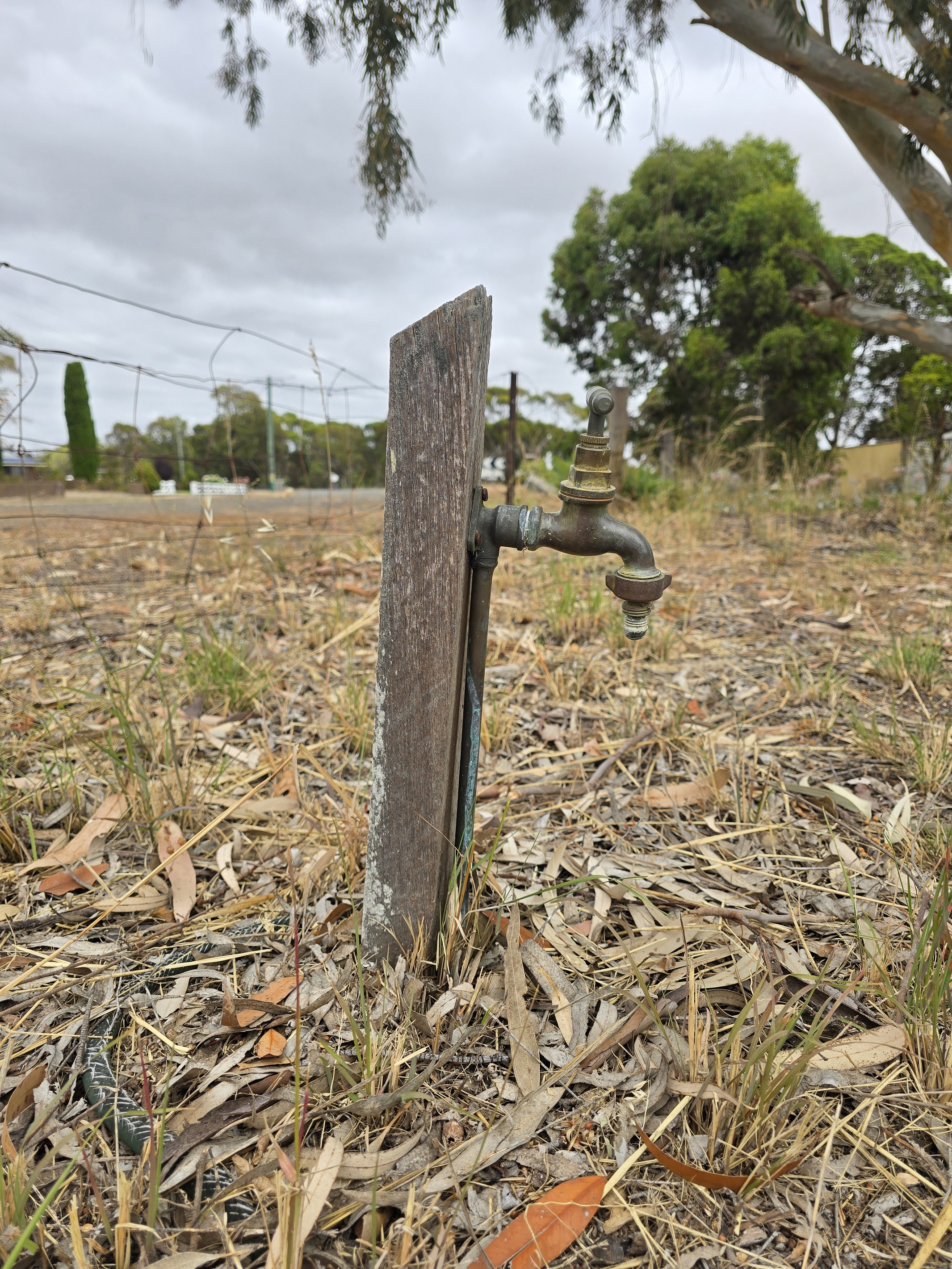 Lot 21 23 Grantham Street, Cranbrook, WA 6321