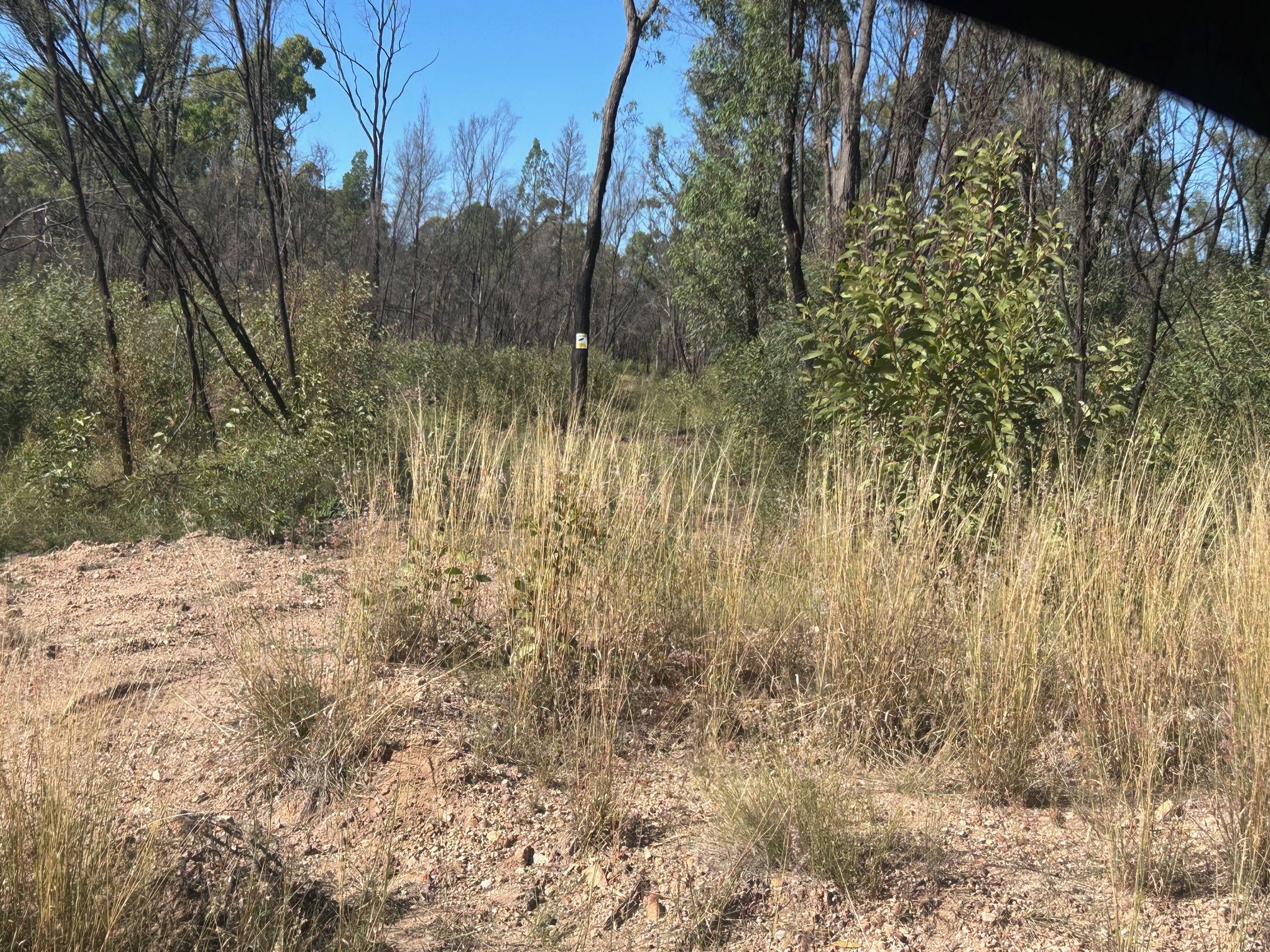 619 South Road, Tara, QLD 4421