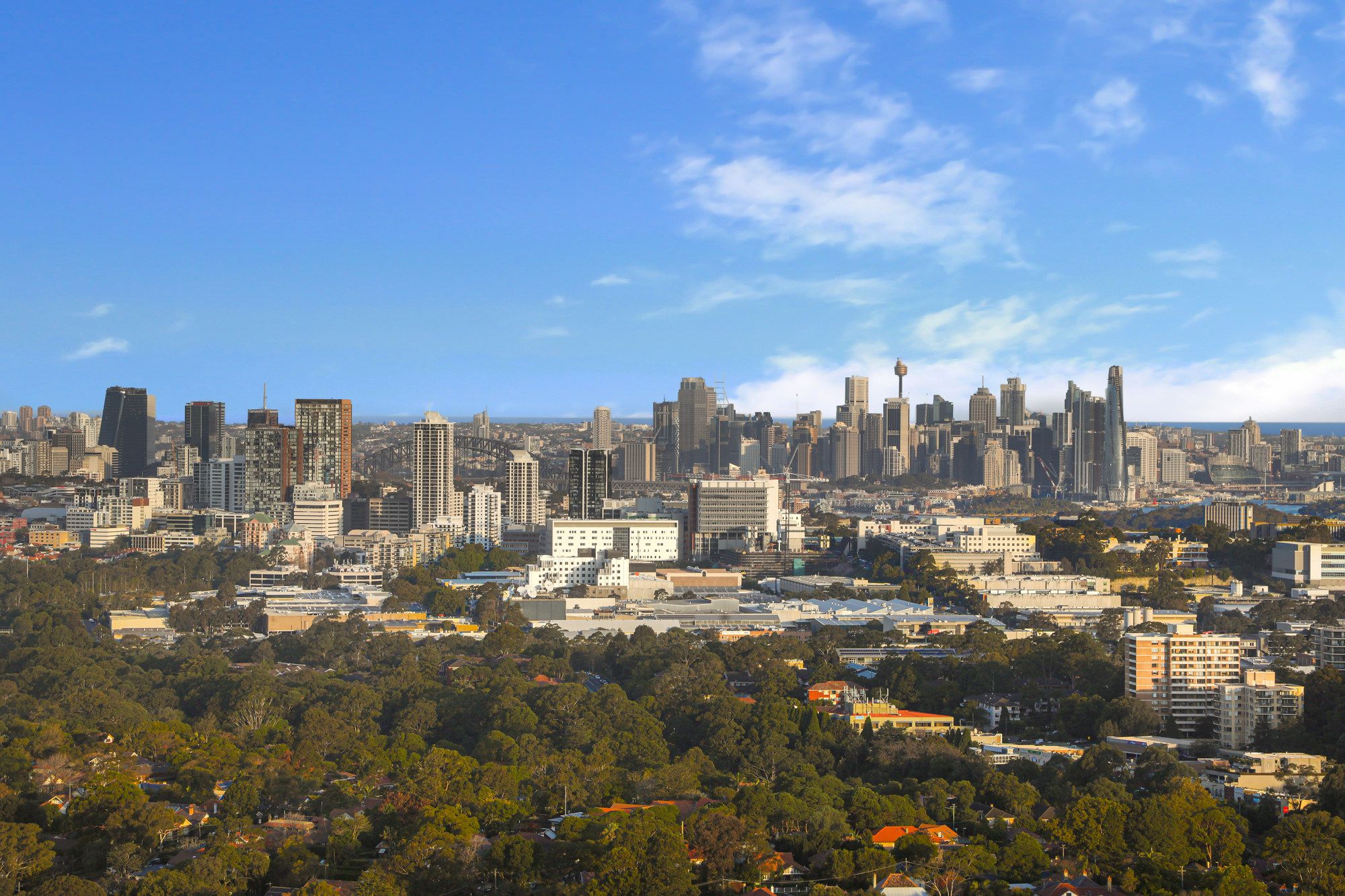 5105/438 Victoria Avenue, Chatswood, NSW 2067