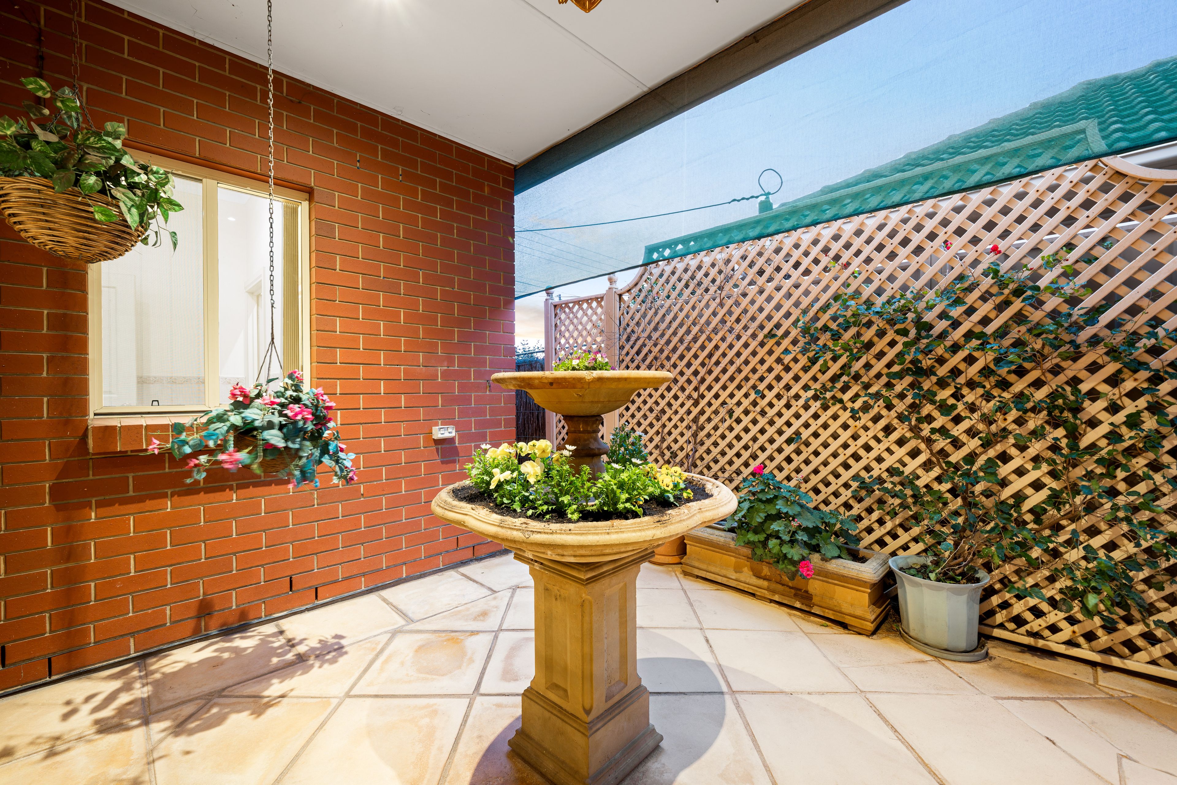 11 Beltana Street — photo 15 of 21