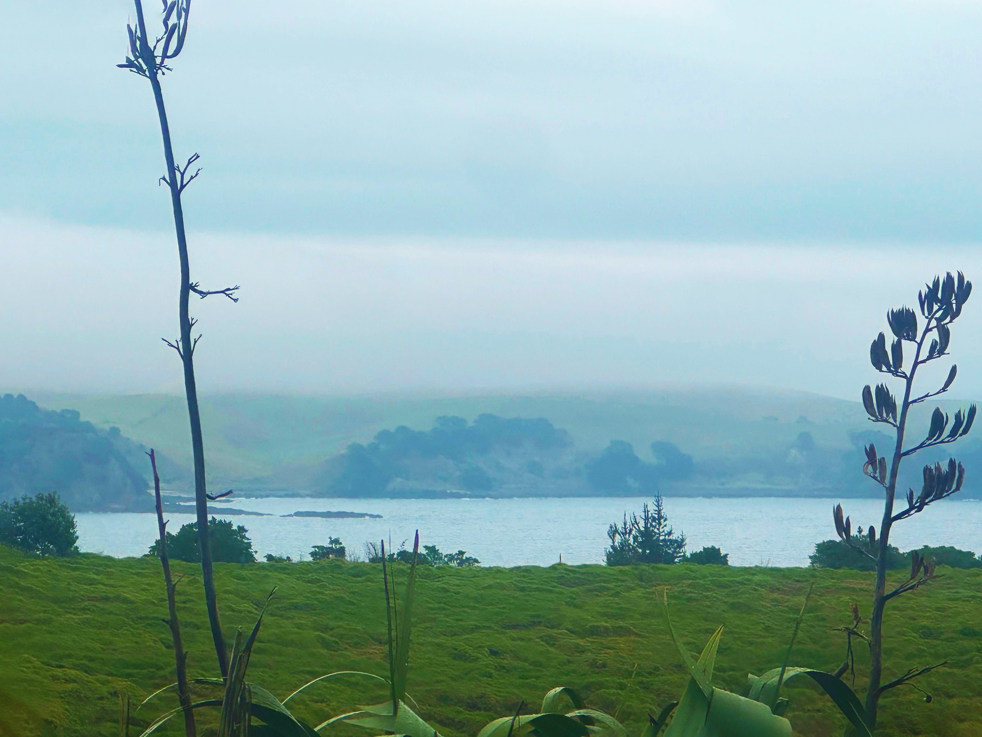 7 Askew Avenue, Rakino Island, Auckland City