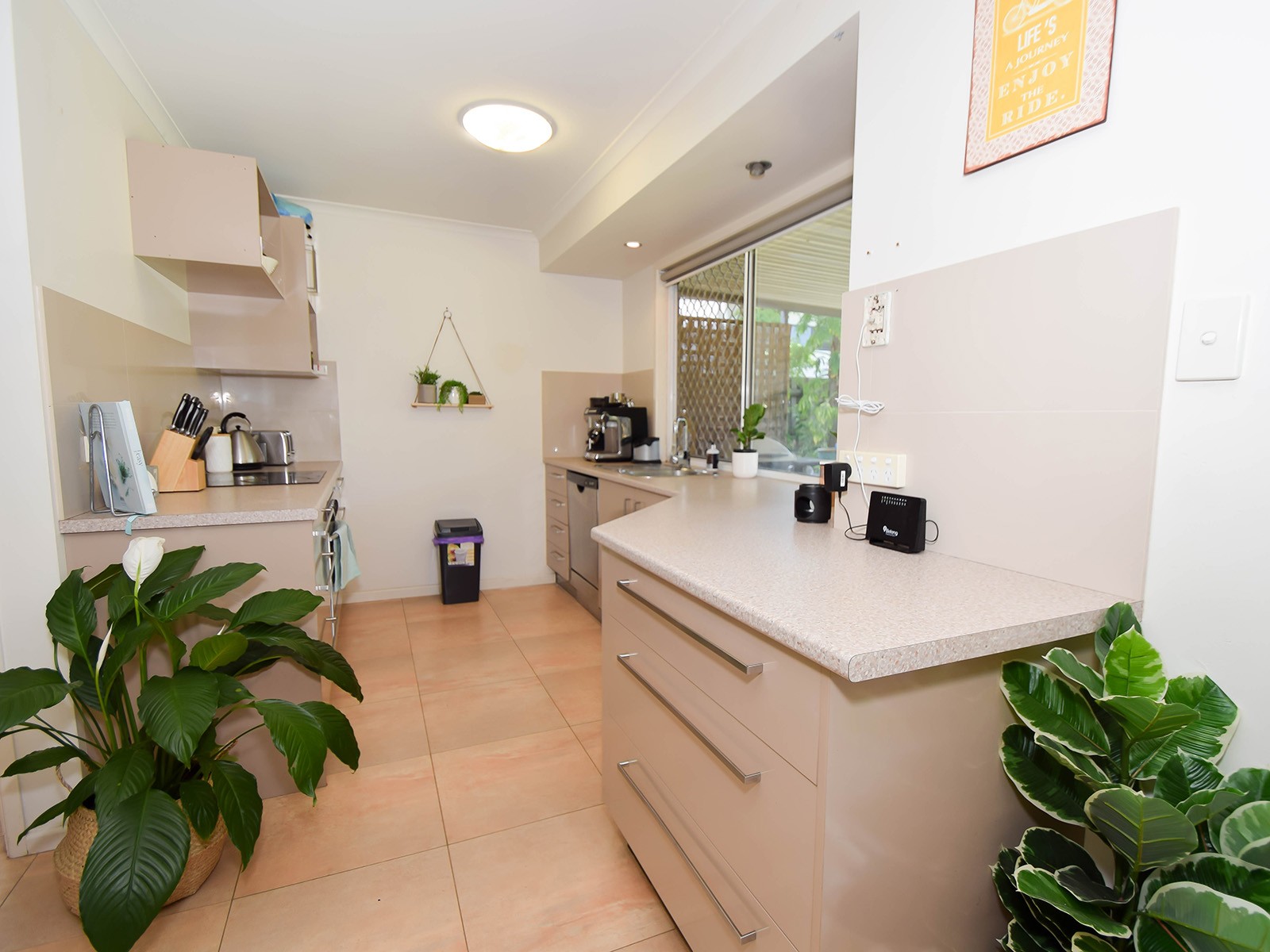 6 David Street, Pacific Paradise, QLD 4564