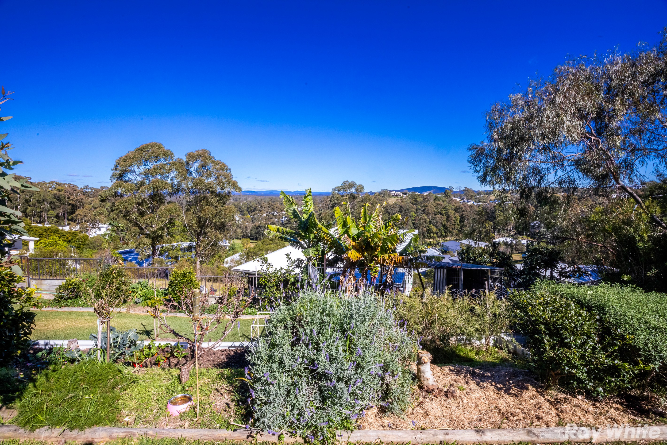 73 Coastal View Drive, Tallwoods Village, NSW 2430