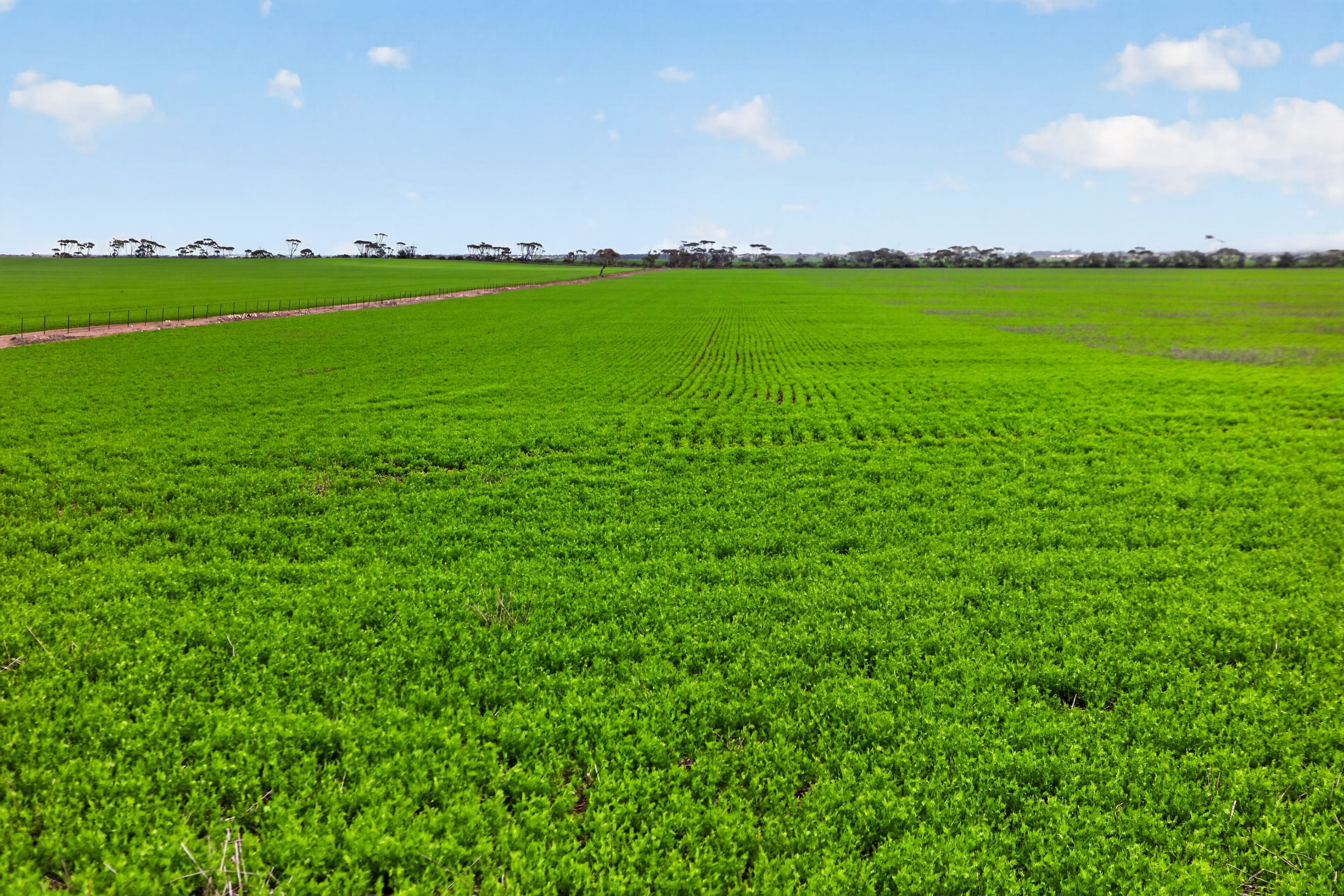 'Shepherds' Thomas Plains Road — photo from Ray White Rural South Australia
