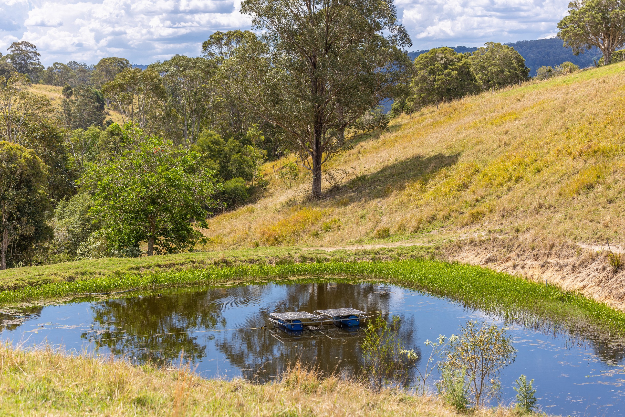 129 Days Road, Belbora, NSW 2422