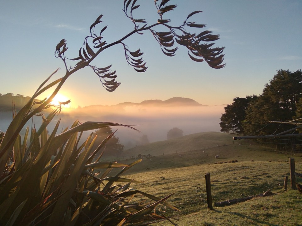 26 Puriri Glade, Maungaturoto, Kaipara District