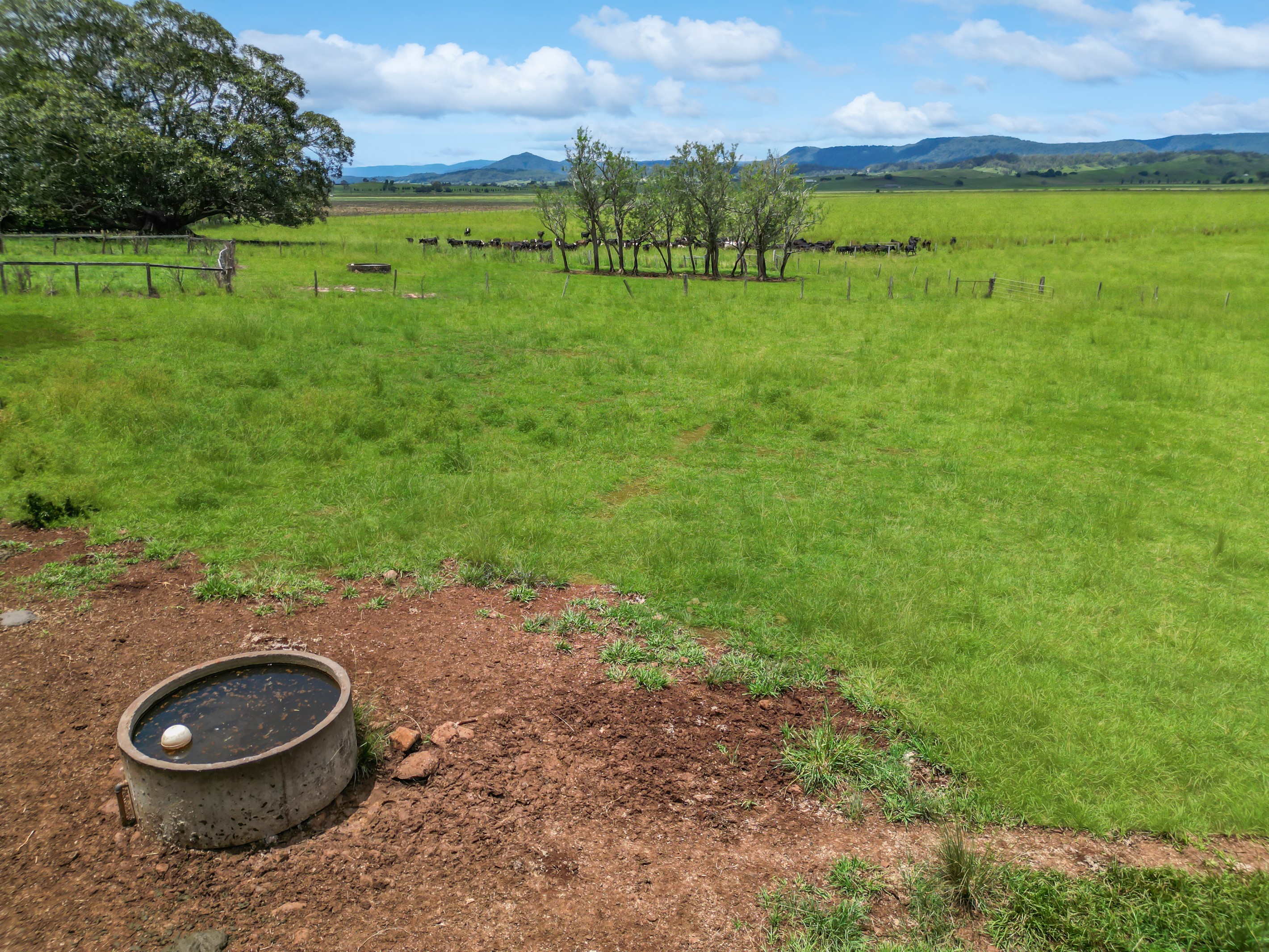 89 O'Connors Road, Fairy Hill, NSW 2470