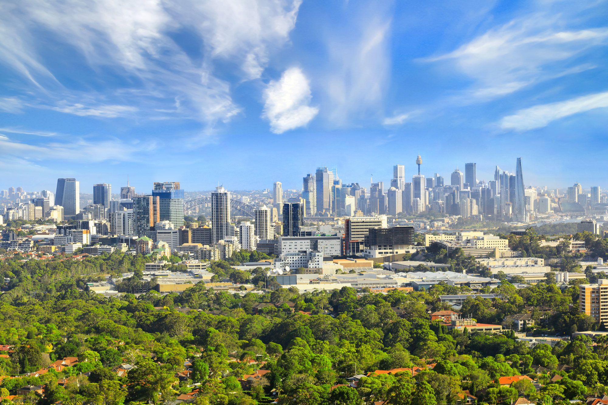 5203/1 Post Office Lane, Chatswood, NSW 2067