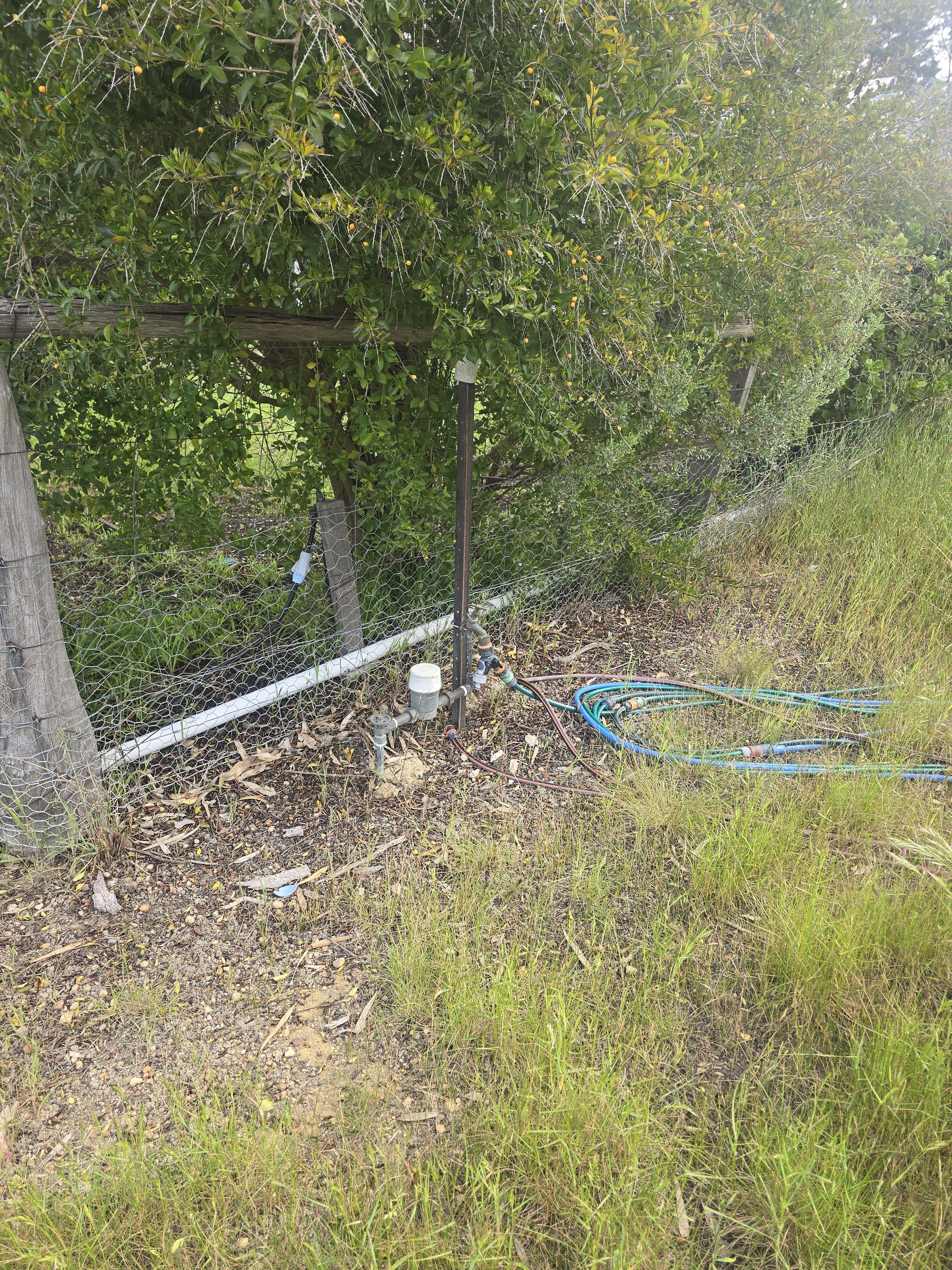 Lot 886 137 Seventh Avenue, Kendenup, WA 6323