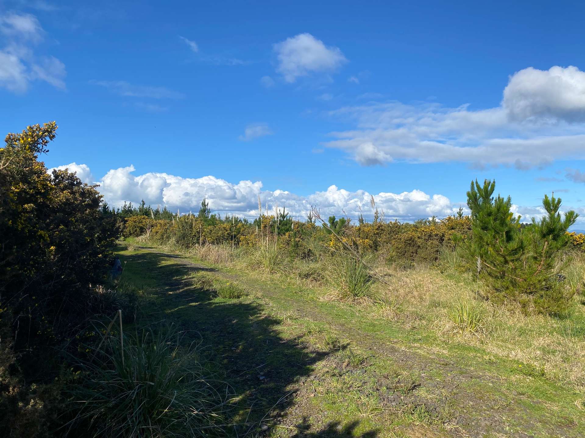 Lot 6 Tram Gully Road photo 5