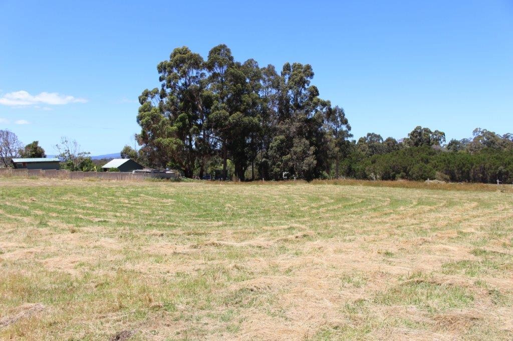 14 Buckley Street, Denmark, WA 6333