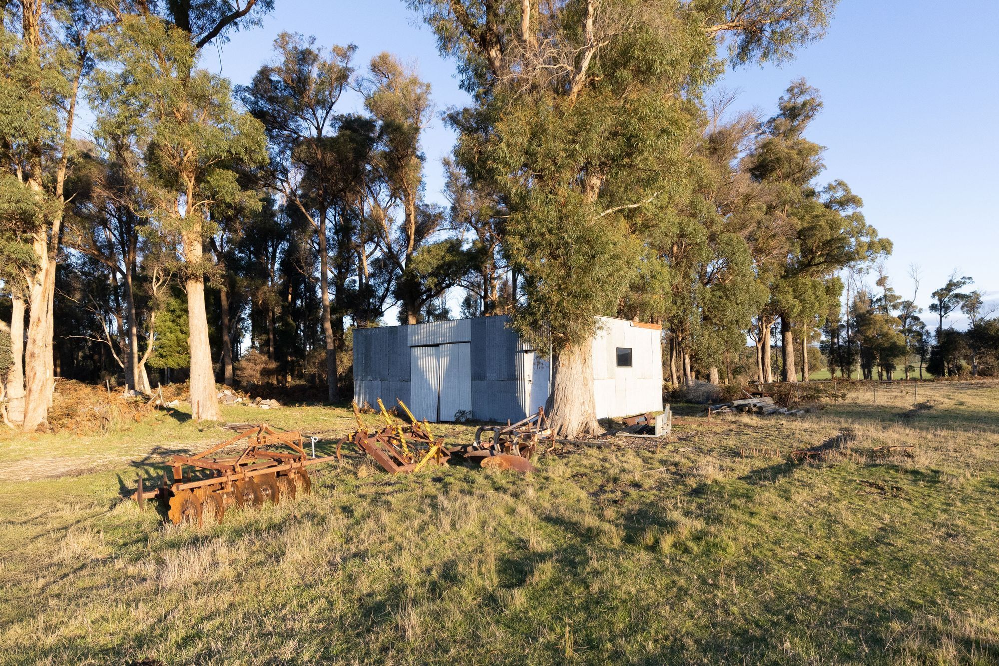 300 Felmingham Road — photo 10 of 30