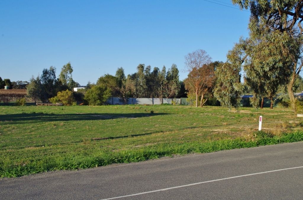 99 Twentythird Street, Renmark, SA 5341
