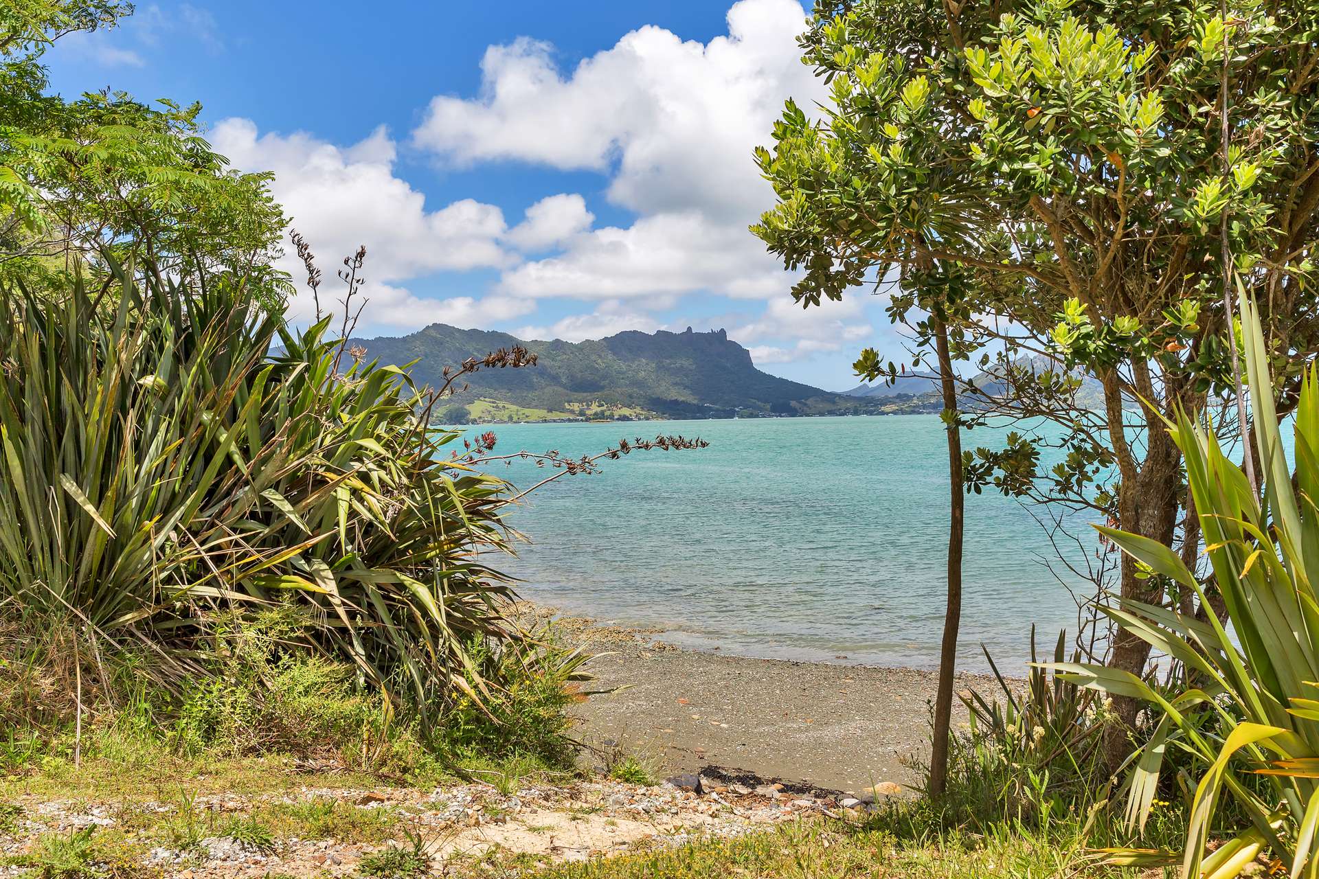 309 Nook Road, Parua Bay, Whangarei District Real Estate Ray White