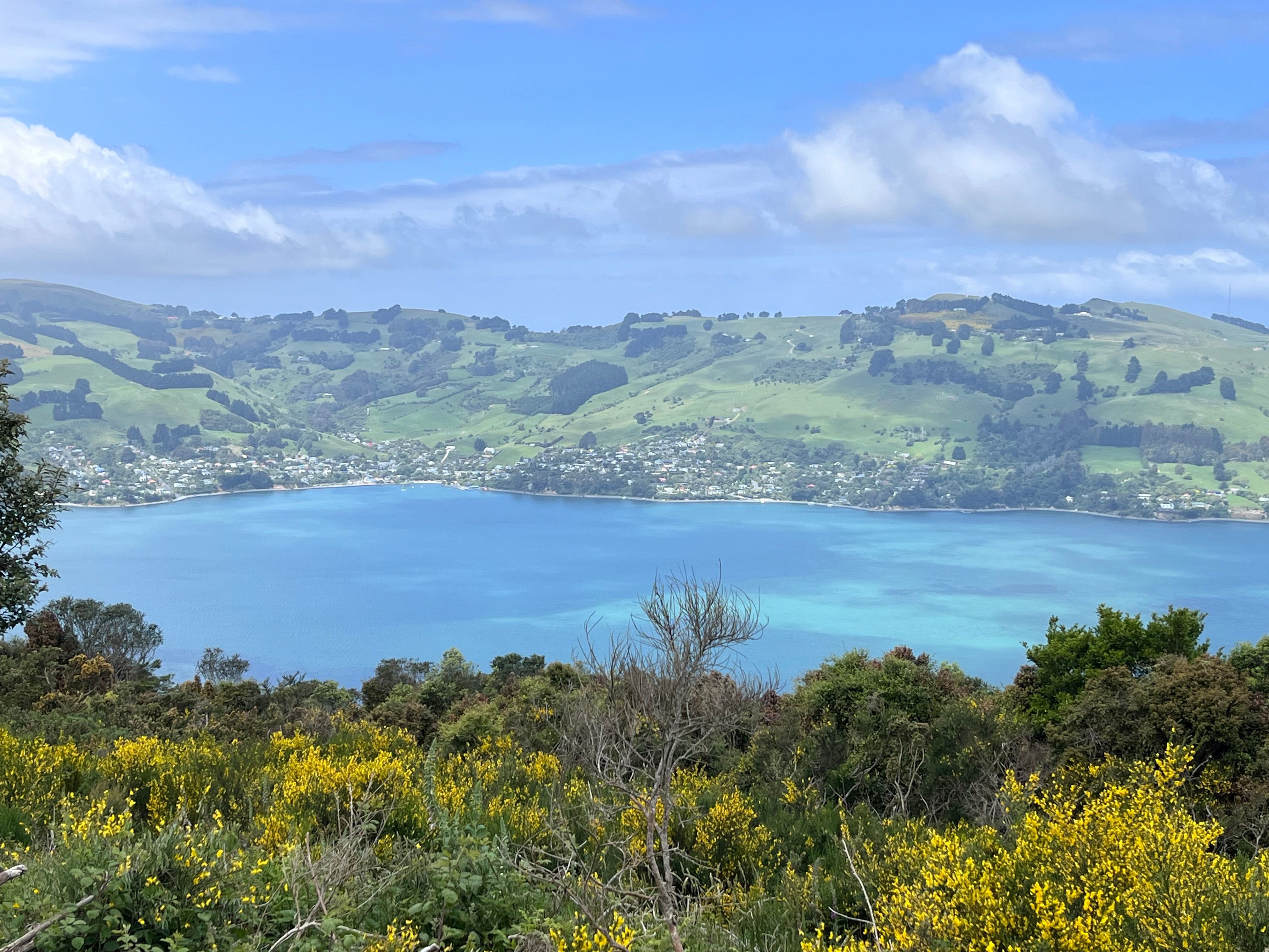 249 Signal Hill Road, Opoho, Dunedin City