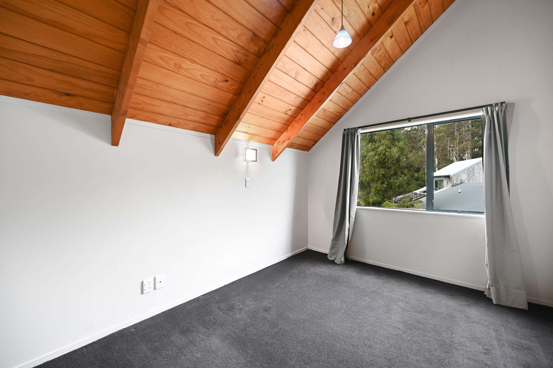 47b Winstone Avenue photo 4