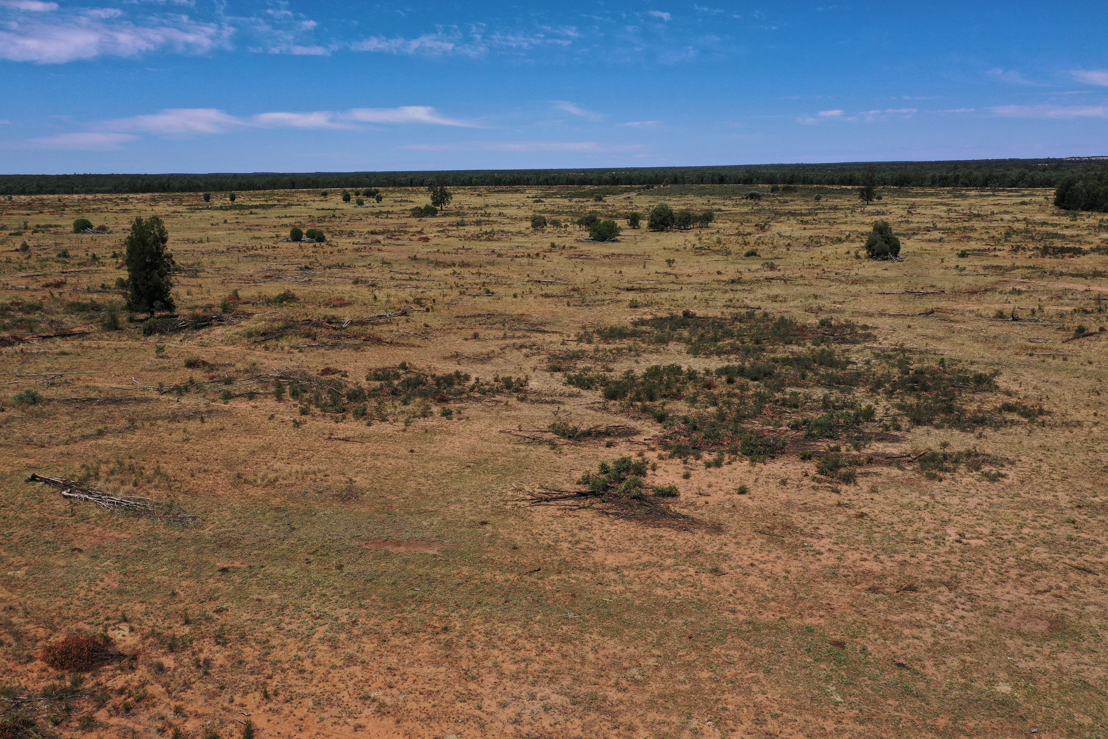 555 Yuleba Surat Road, Yuleba, QLD 4427