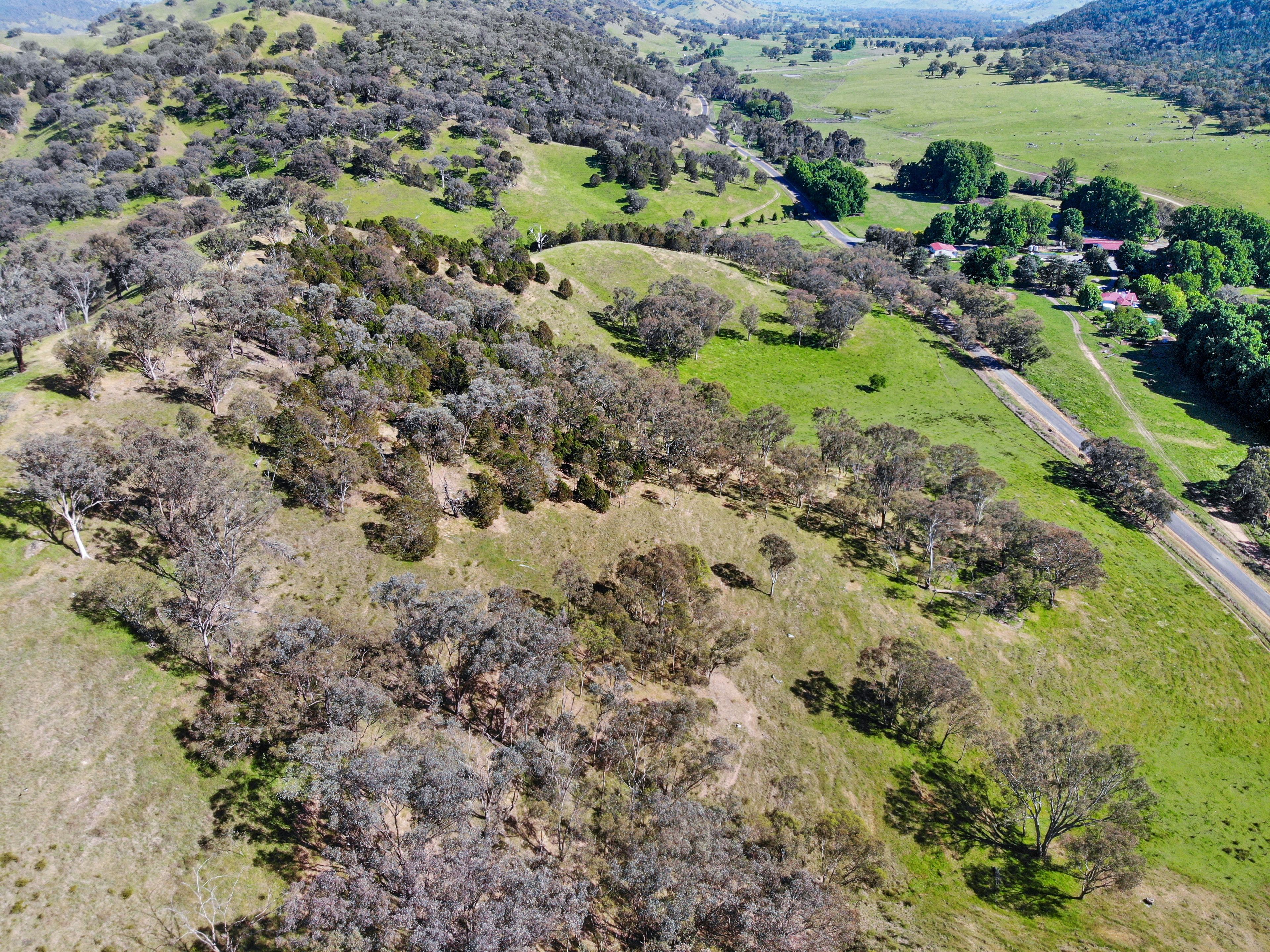 Lot 8 in DP 1047706 Brungle Road, Tumut, NSW 2720 Sold Rural Property
