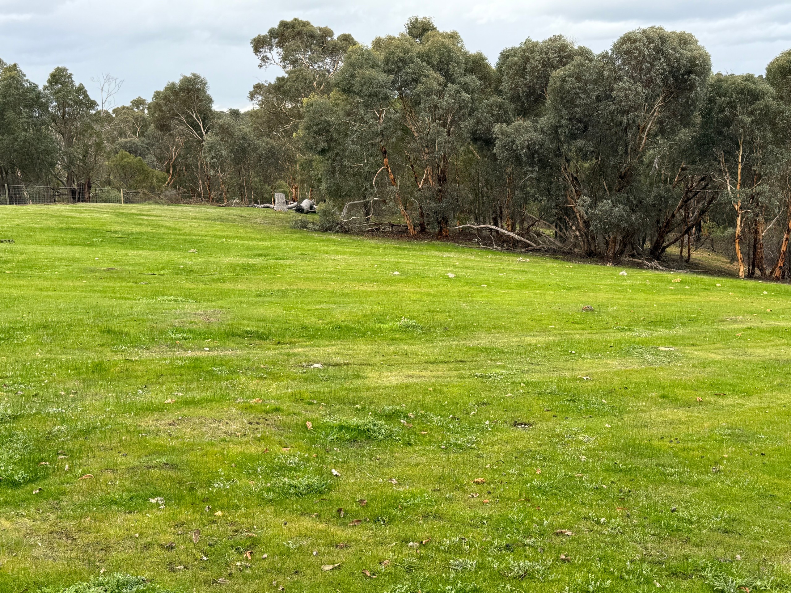 Proposed Lots, 293 Morley Road, Lower Chittering, WA 6084