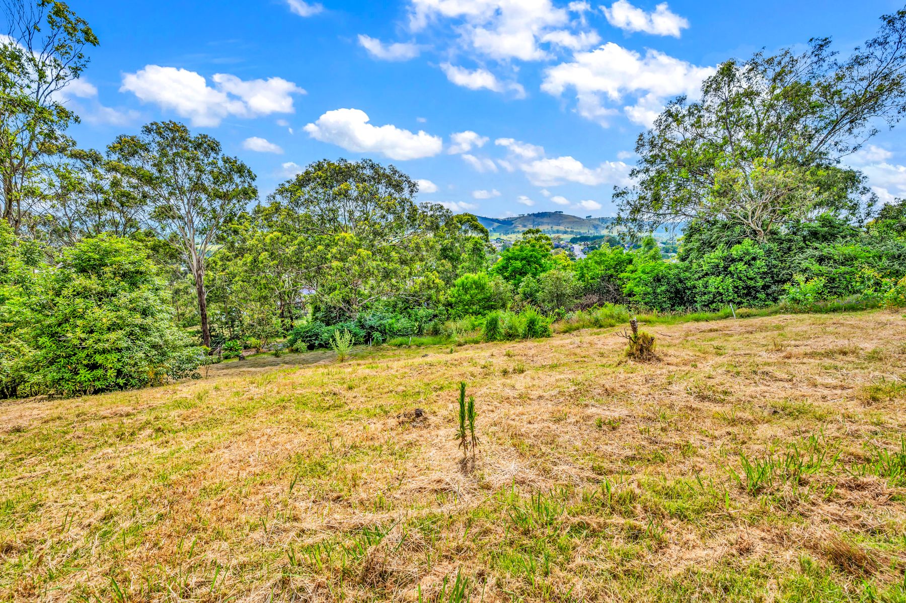 85 Chapman Street, Dungog, NSW 2420
