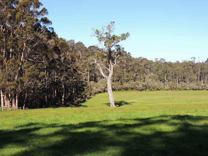 1668 South Coast Highway, Denmark, WA 6333