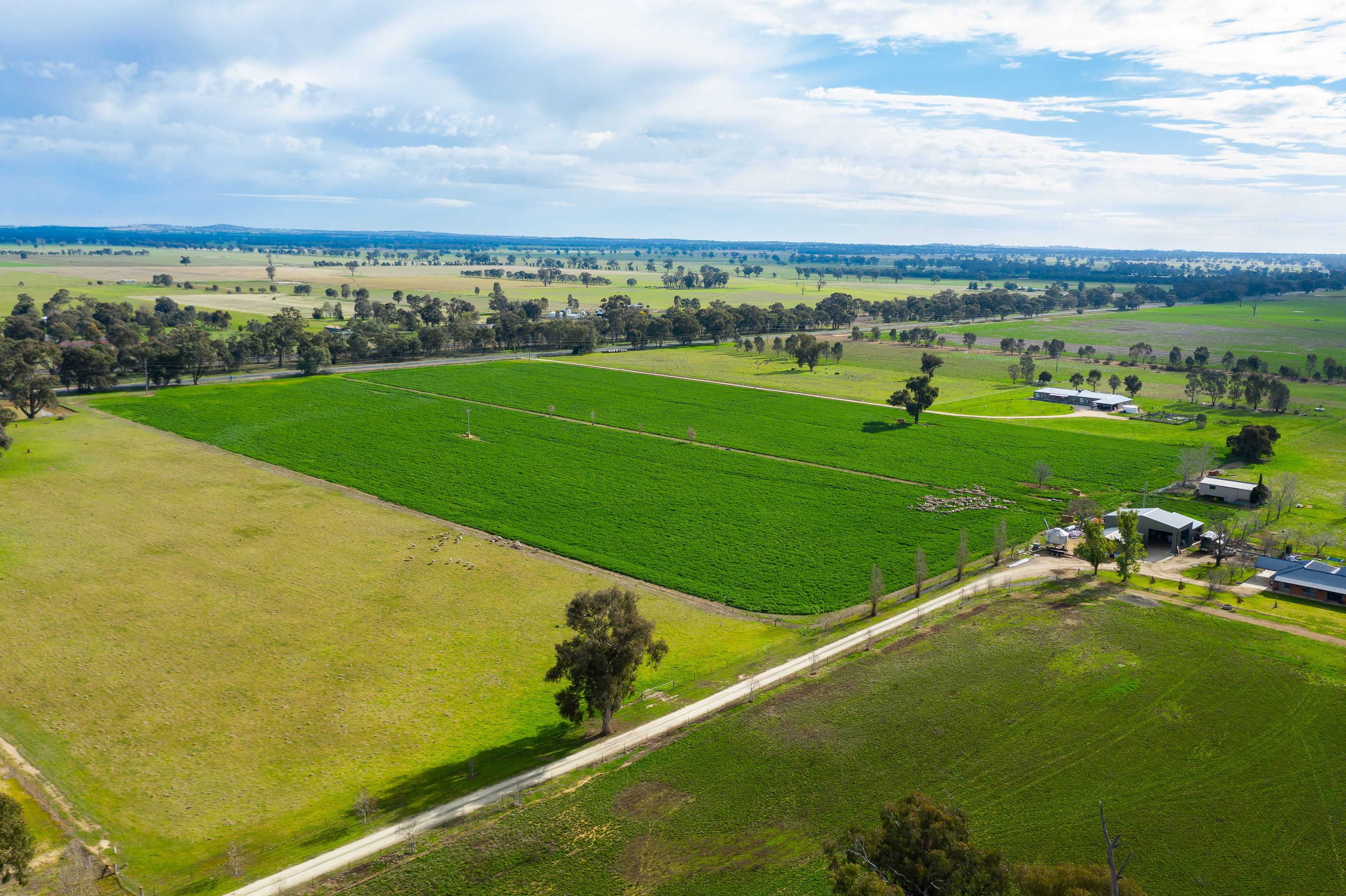 3148 Lot 6 - Olympic Highway, Culcairn, NSW 2660