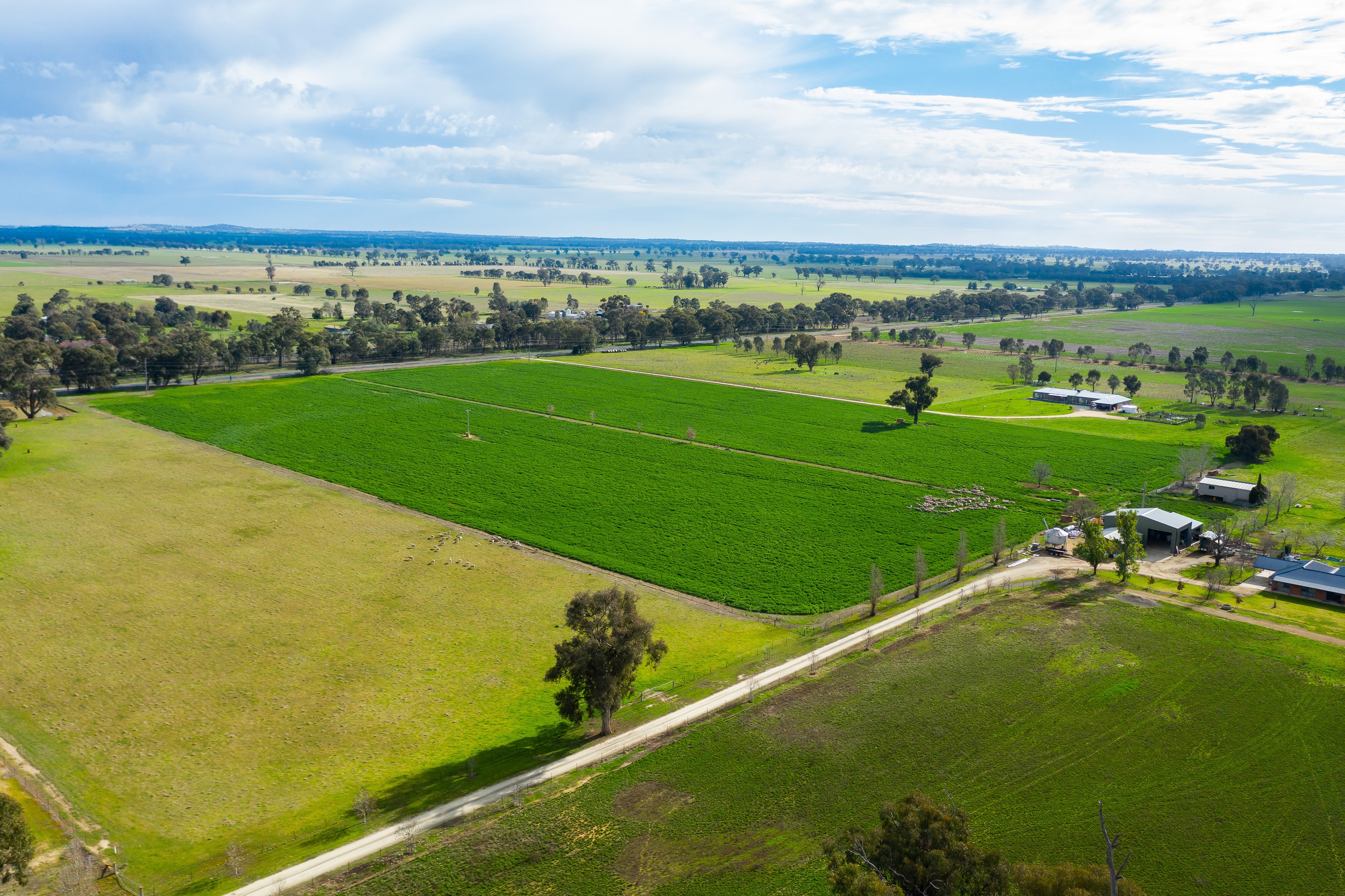 3148 Lot 6 - Olympic Highway, Culcairn, NSW 2660