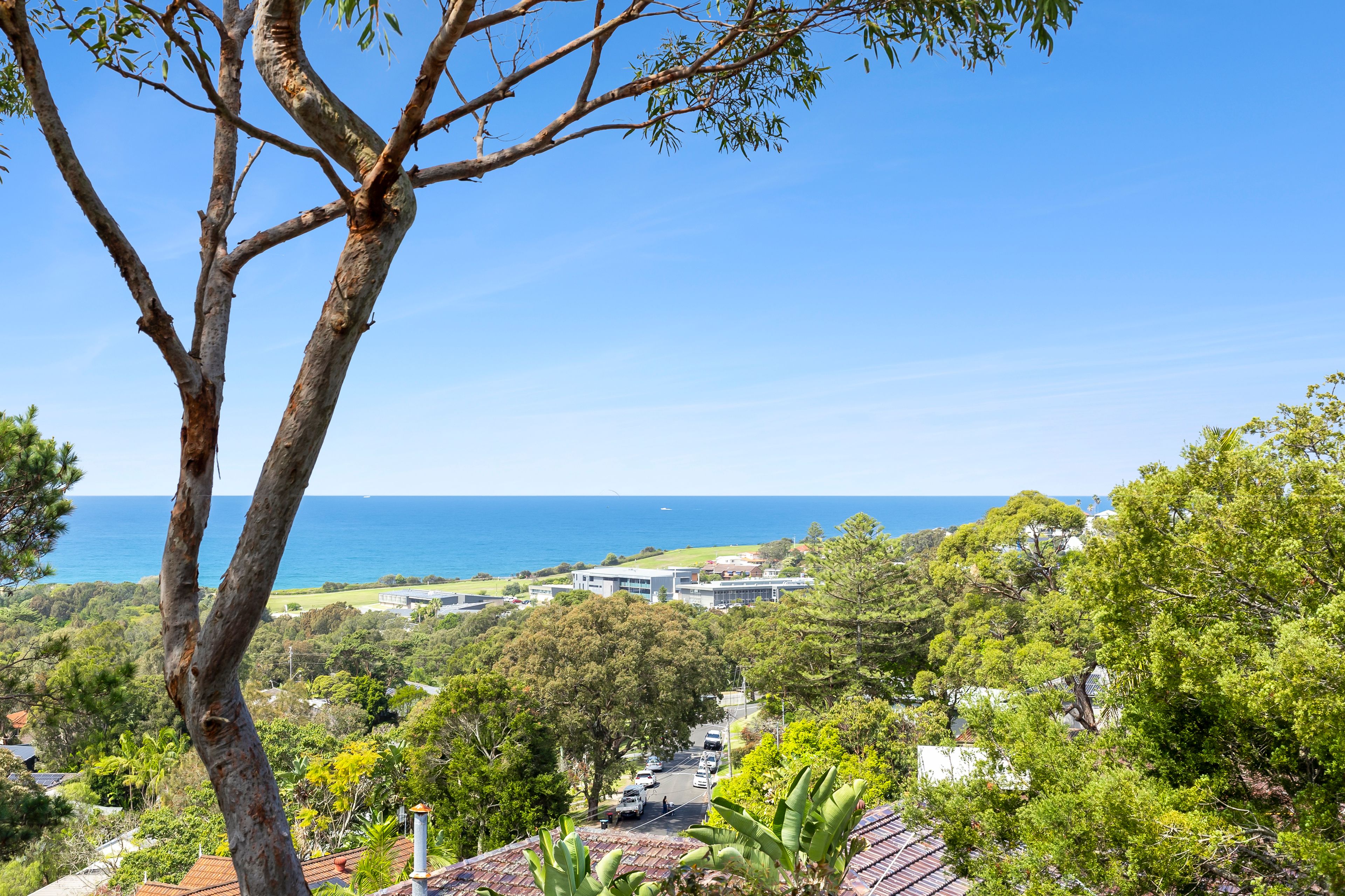 44 Bertana Crescent — photo 8 of 21