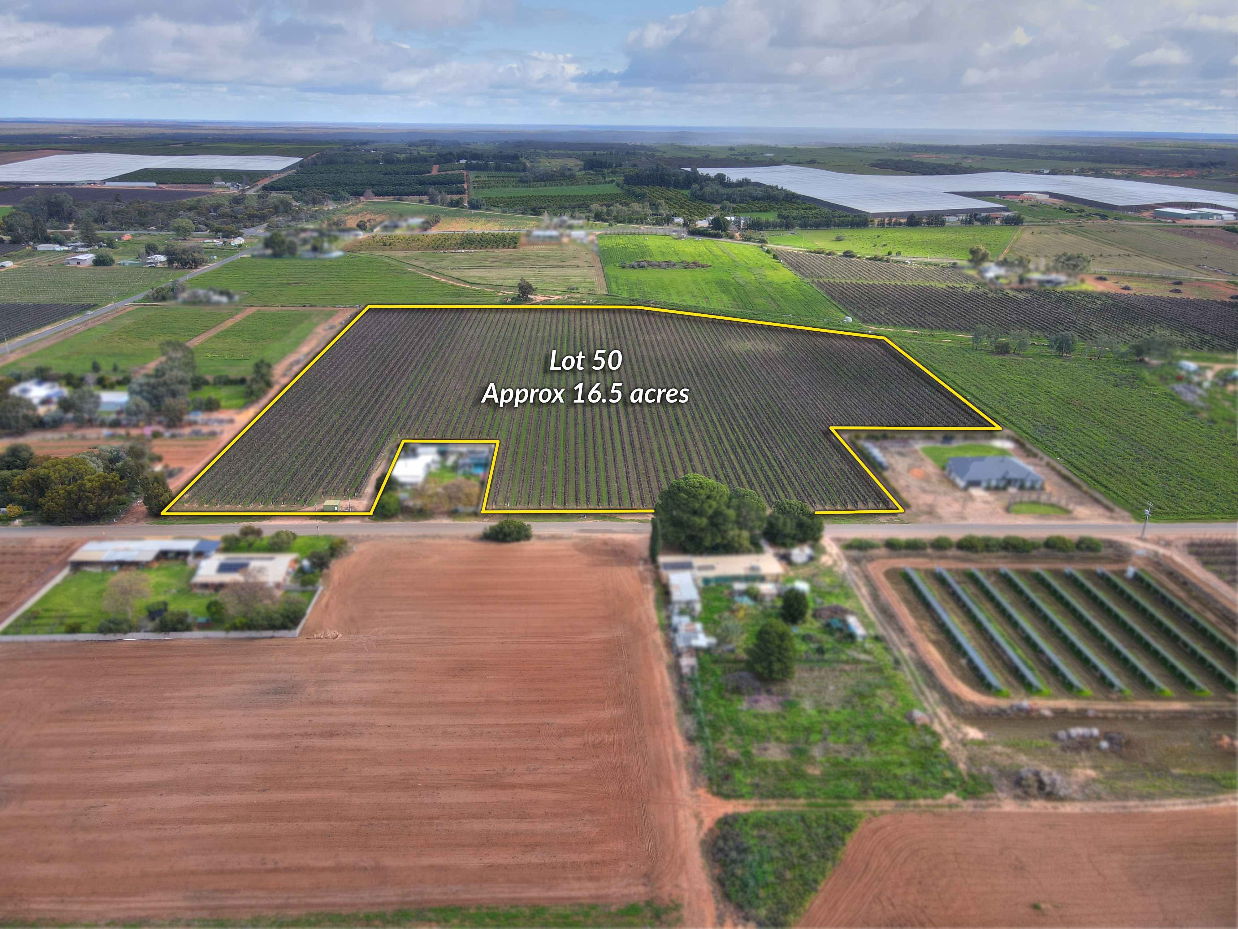 Lot 50 Chowilla Street — photo from Ray White Riverland