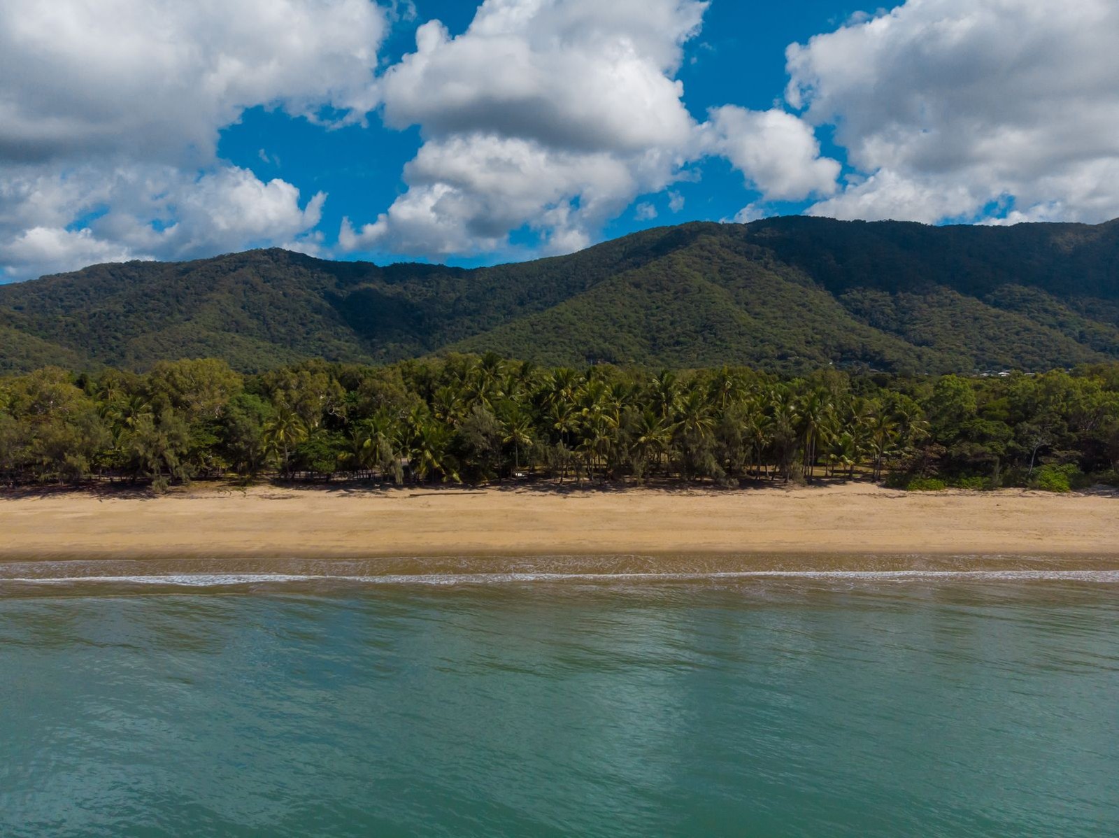 11/109 Upolu Esplanade, Palm Cove, QLD 4879