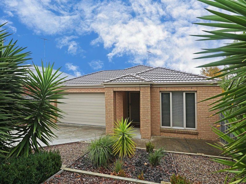 Room 2, 4 and 6 11 Ficinia Mews, HIGHTON, VIC 3216