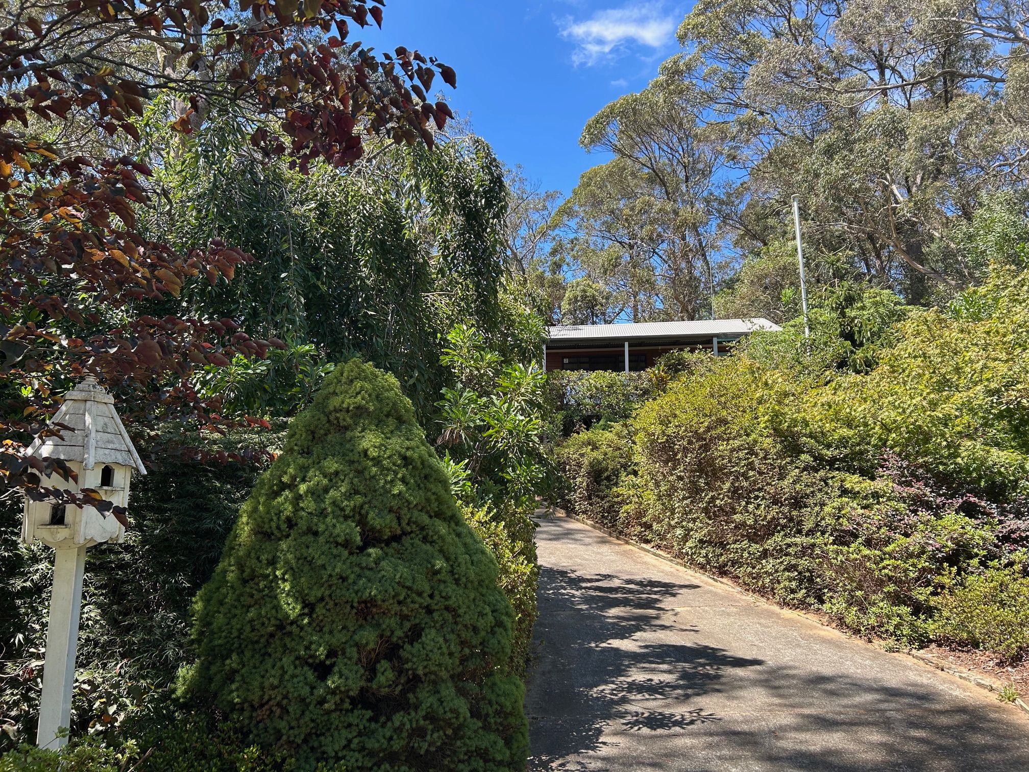 23 Radiance Avenue, Blackheath, NSW 2785