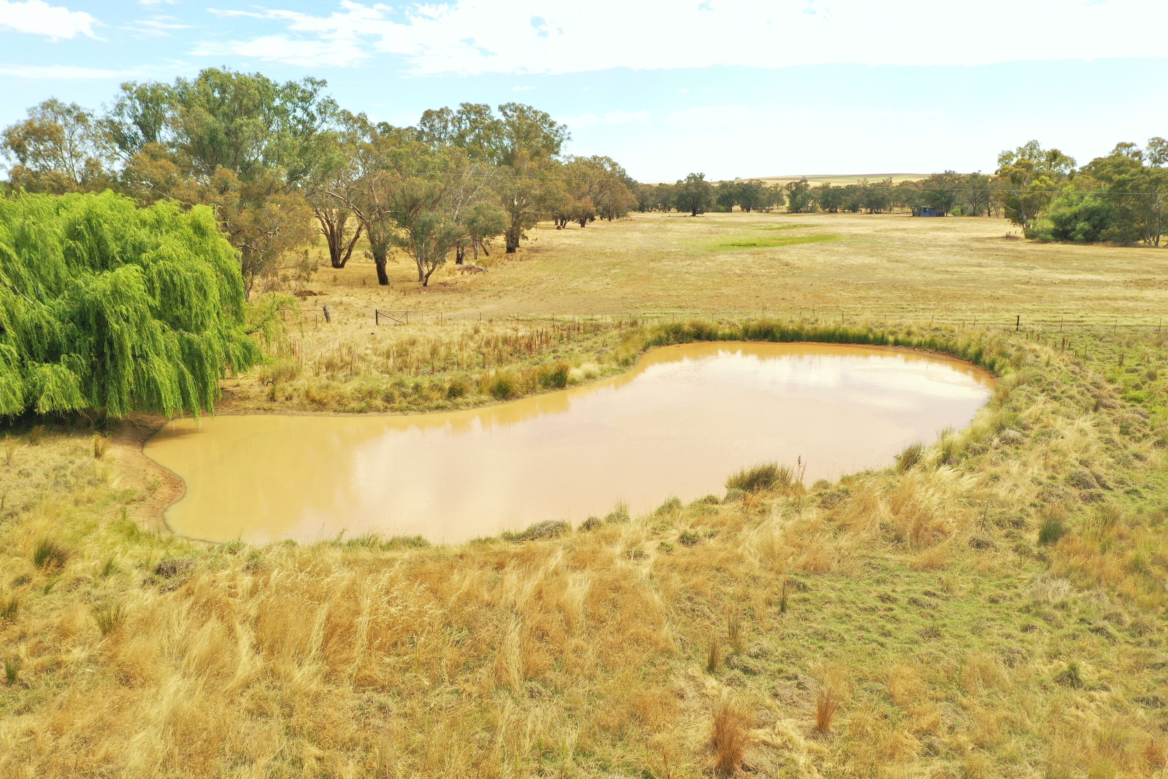 (Part) 1726 Jerrybang Lane, Monteagle, NSW 2594 Land for Sale Ray