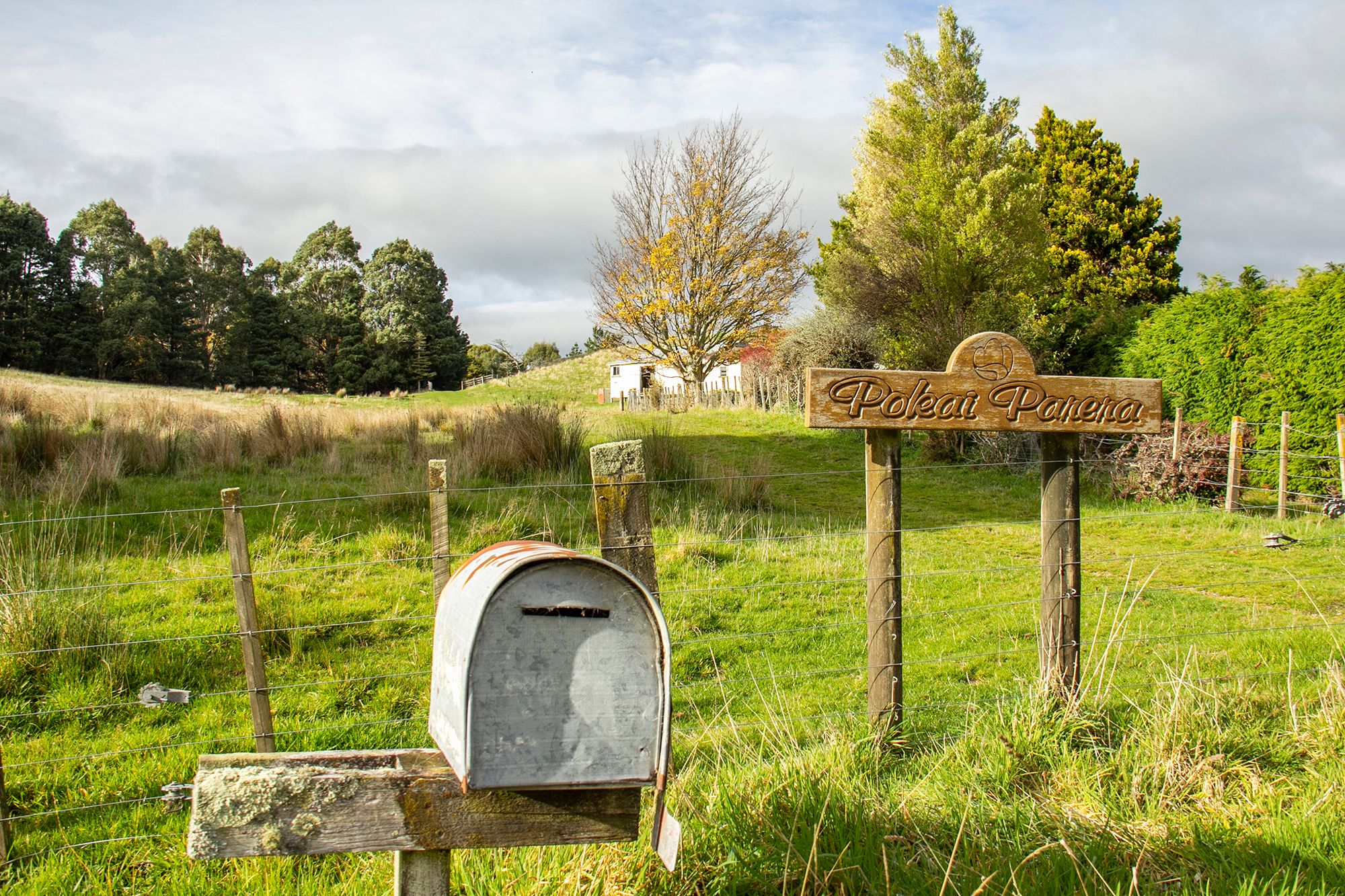 265 Nireaha - Hukanui Road, Eketahuna, Tararua District