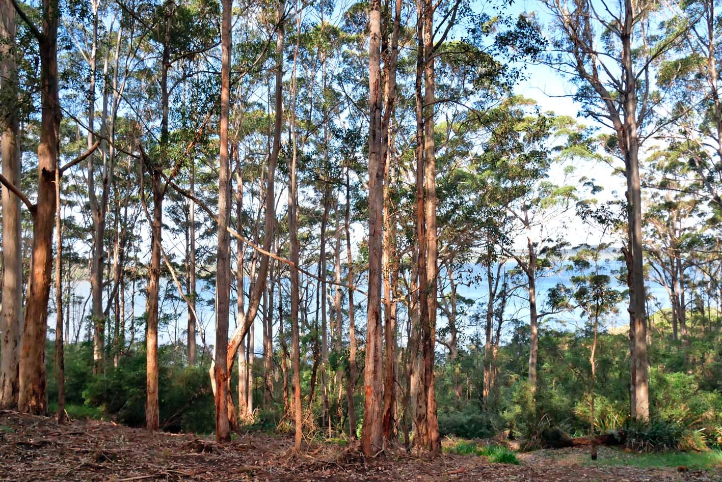 27 Payne Road, Denmark, WA 6333