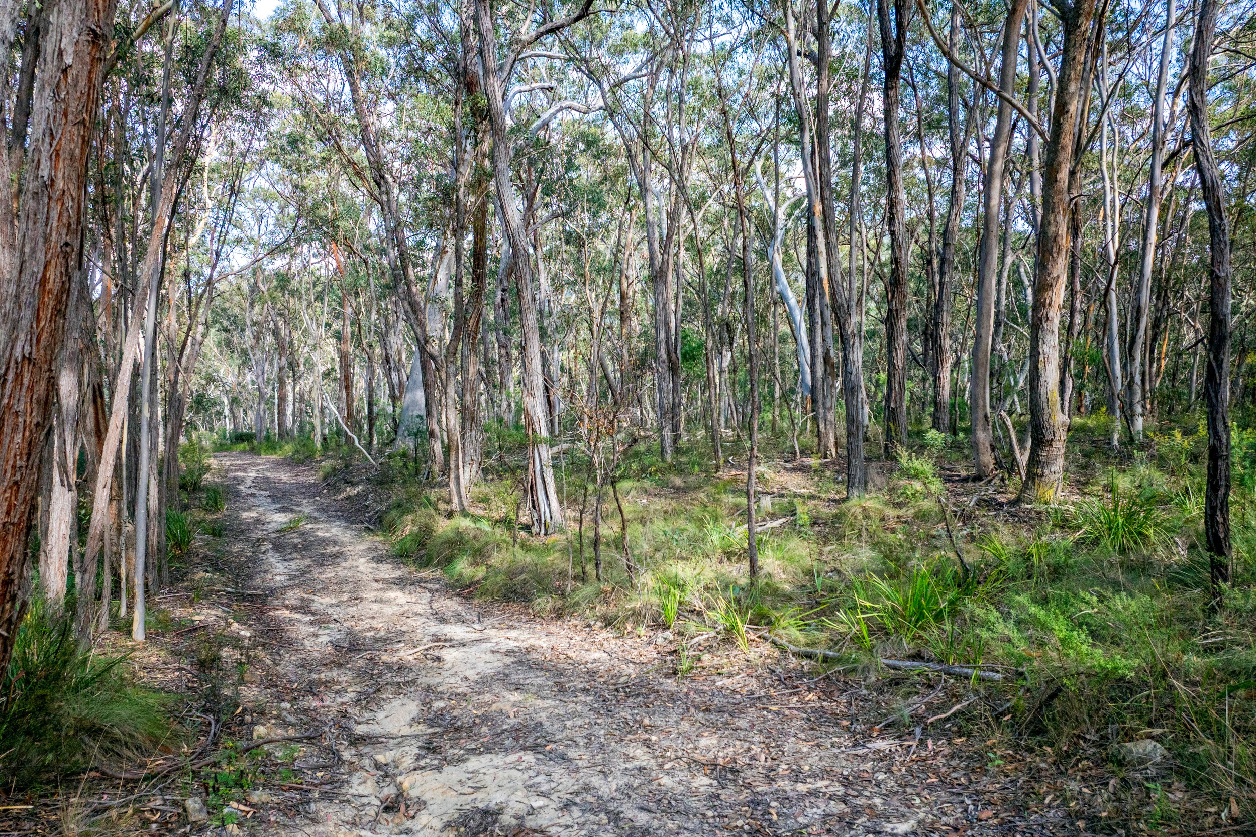 155 Mill Creek Road, Kanimbla, NSW 2790