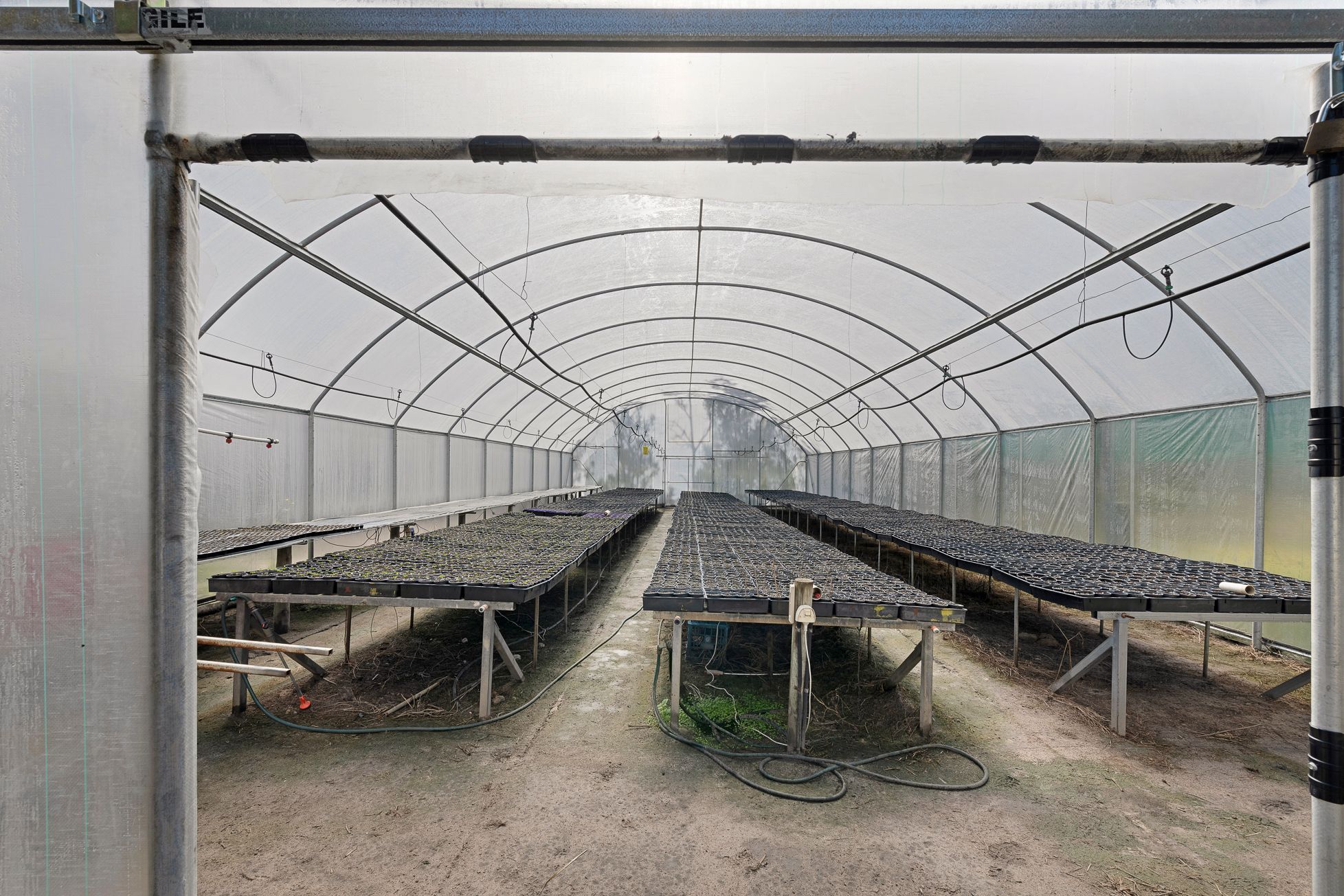 145 Quinns Road, Moorland, QLD 4670 Rural Cropping Property for Sale