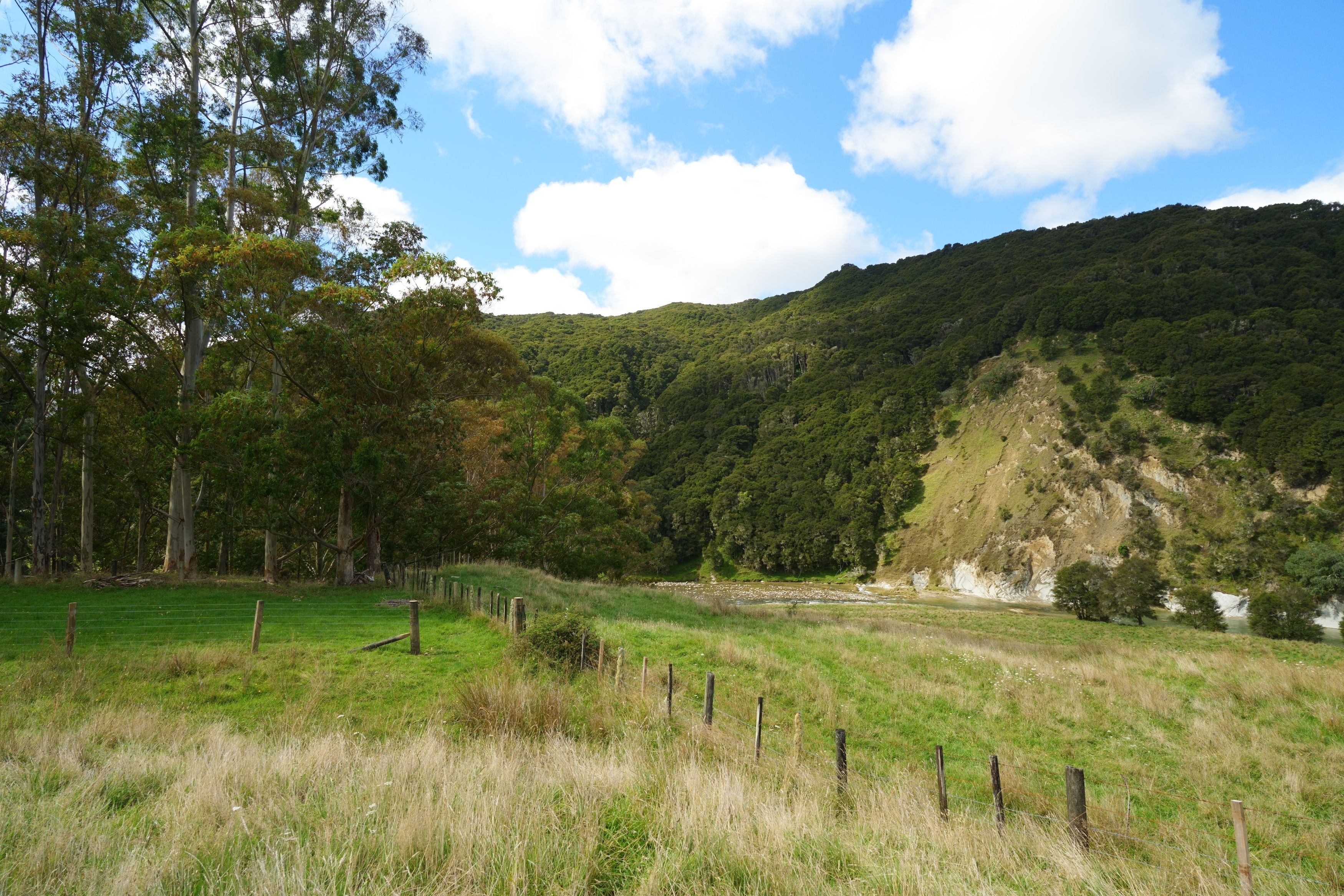 Lot 2 Ruakituri Road, Ruakituri, Wairoa District
