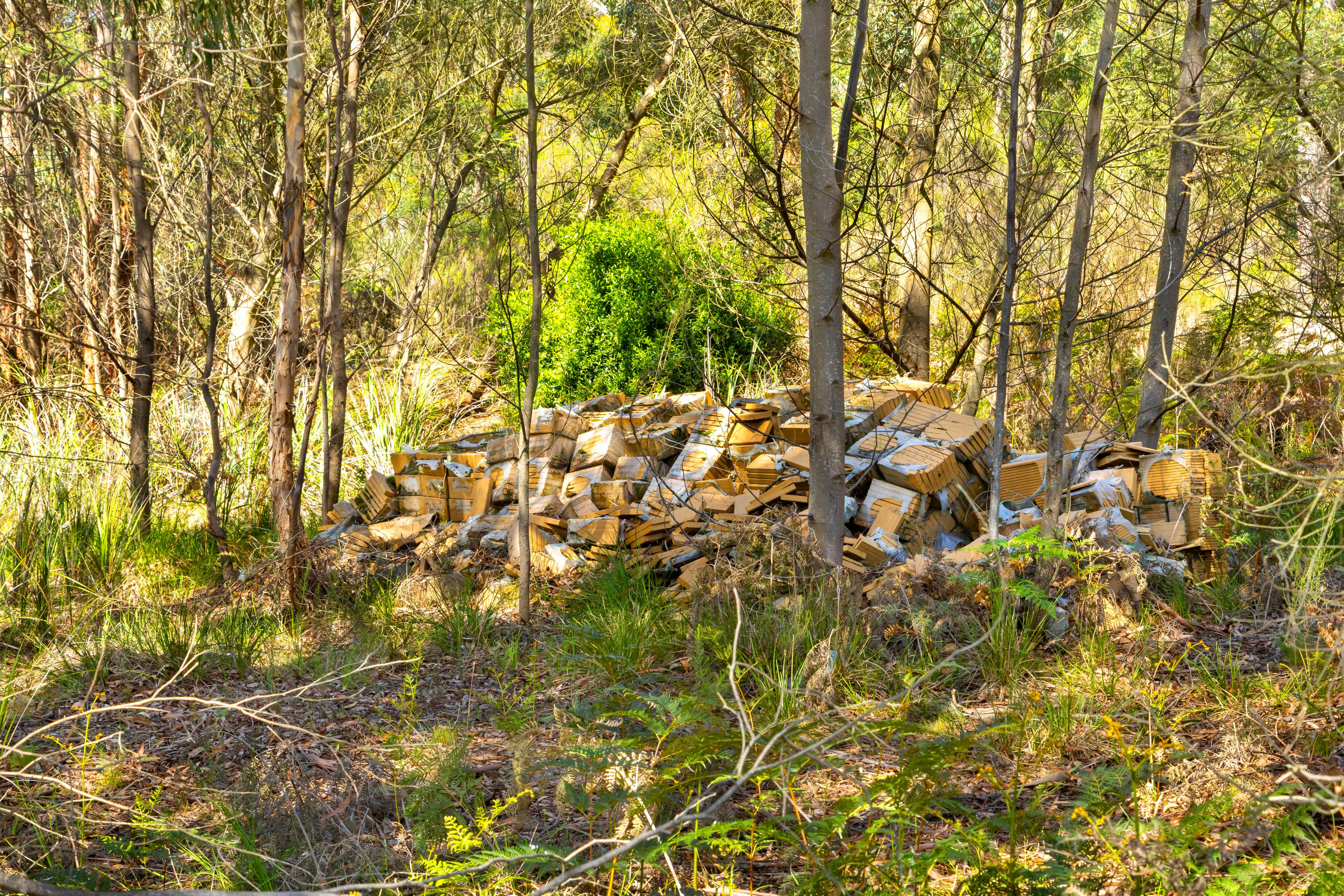 Lot 8 Pryors Road — photo 7 of 10