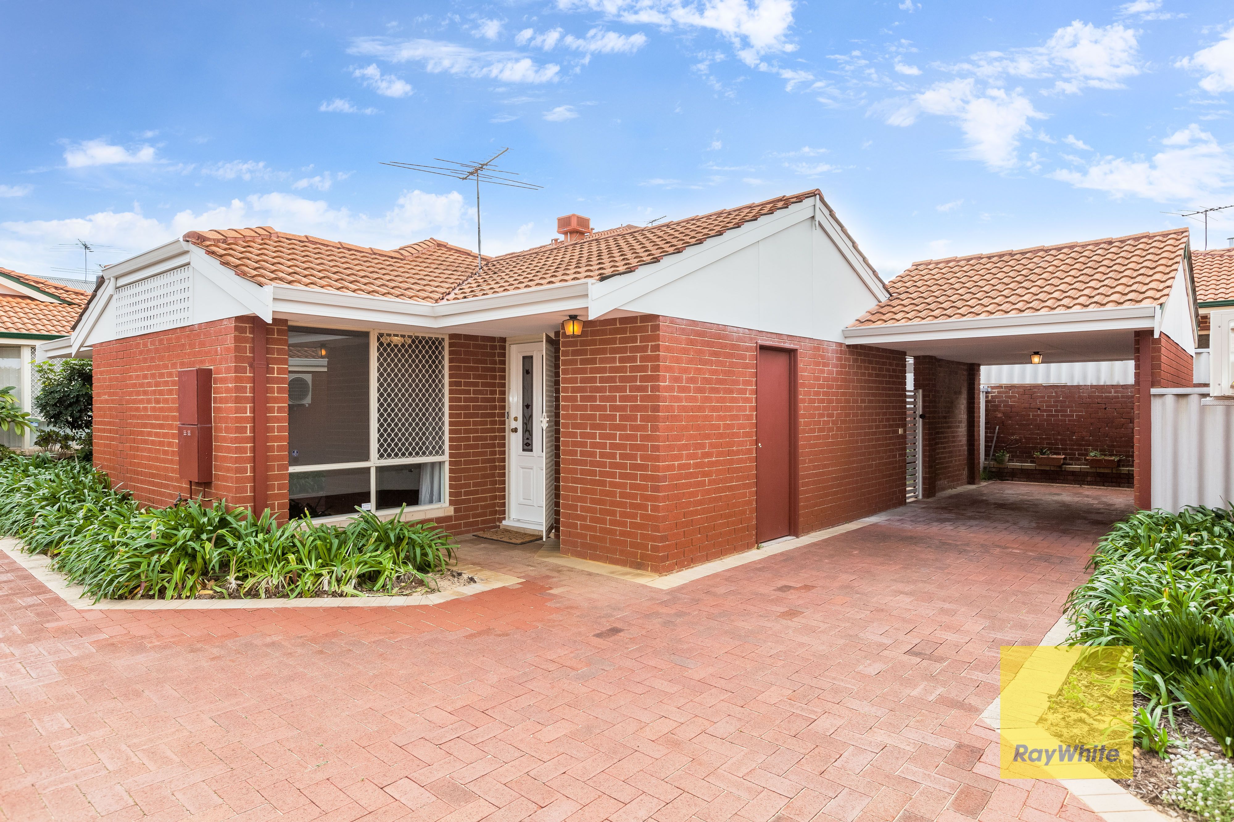 8 Hayburn Street, Scarborough WA 6019