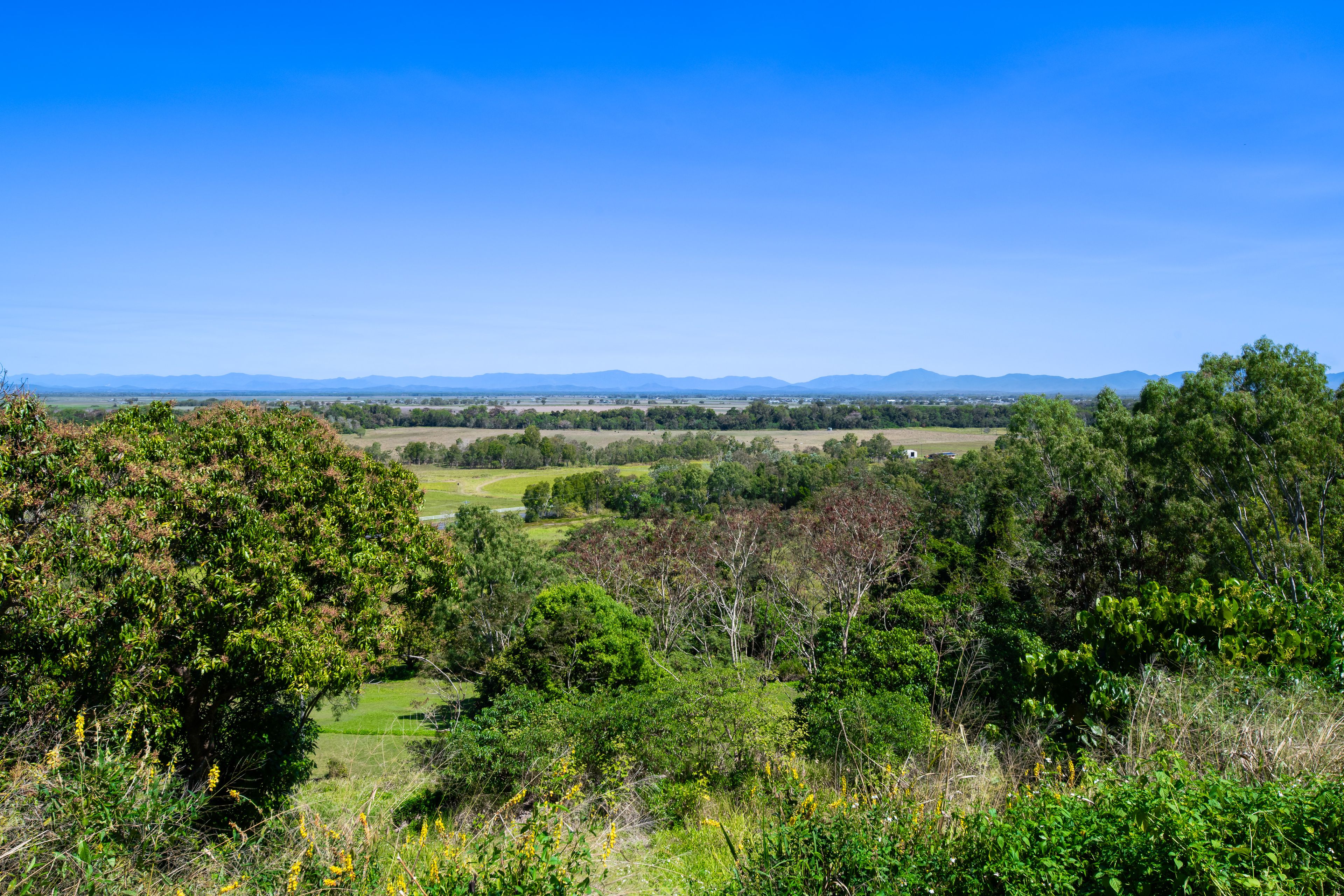 481 Shute Harbour Road, Mount Julian, QLD 4800