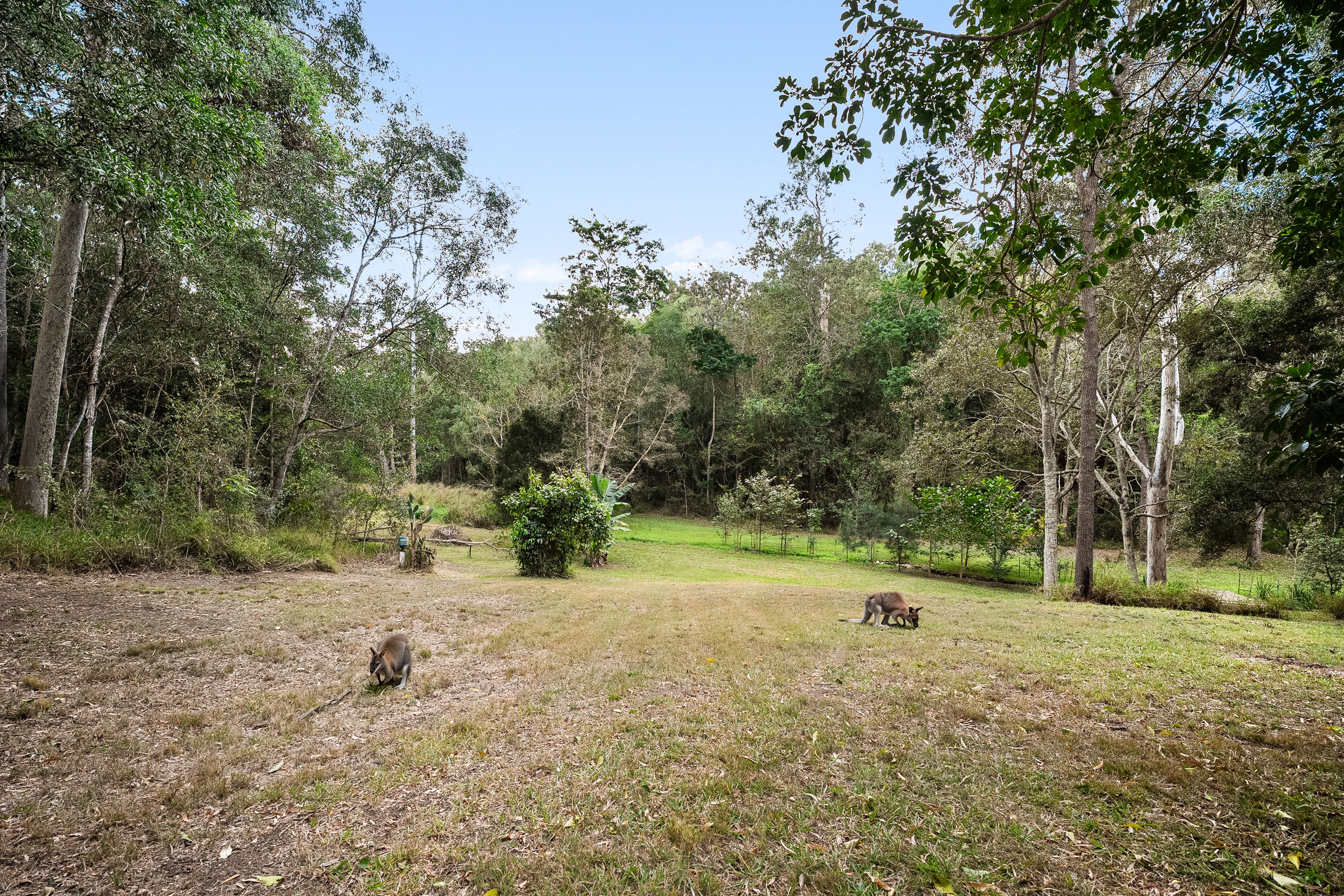 180 Priors Pocket Road — photo 18 of 23