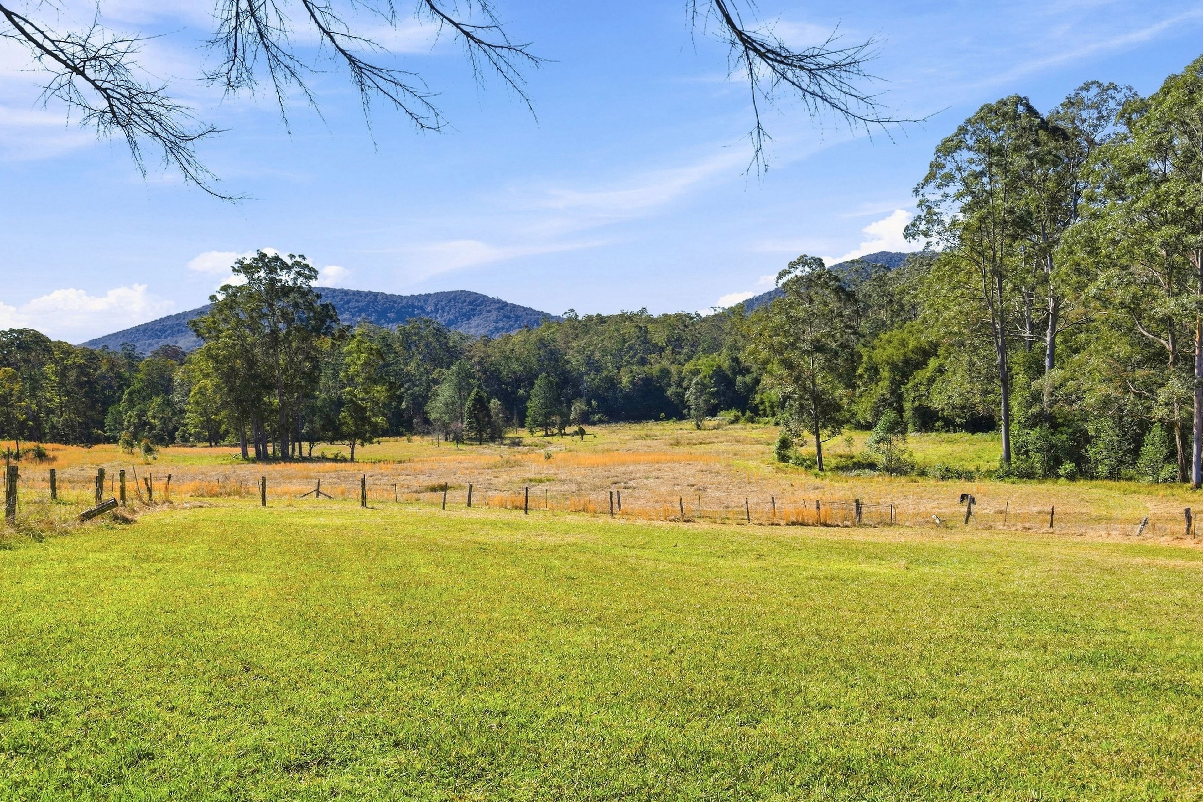 Lot 1 & 67 Crawford River Road — photo 11 of 15