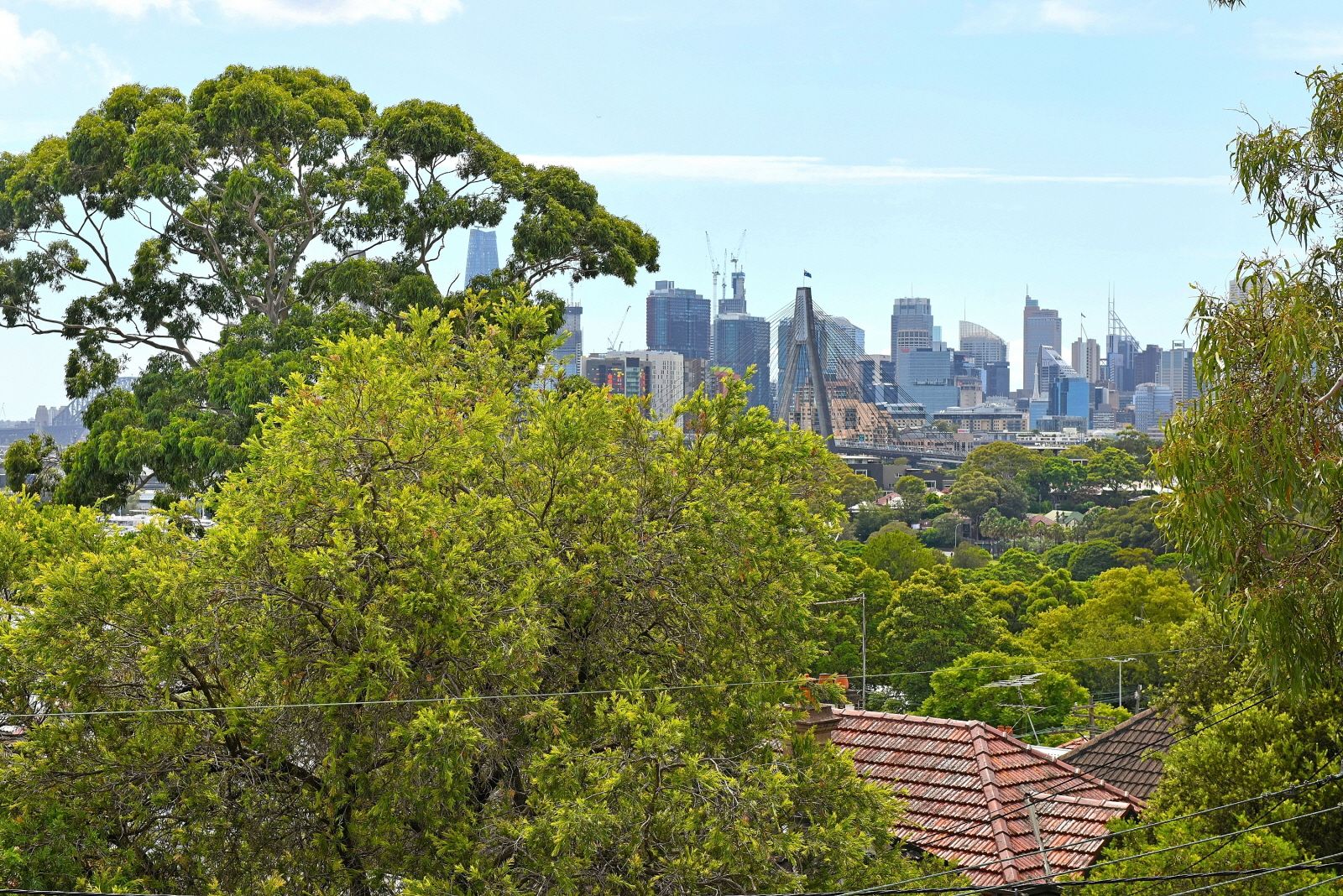 6/347 Annandale Street, Annandale, NSW 2038