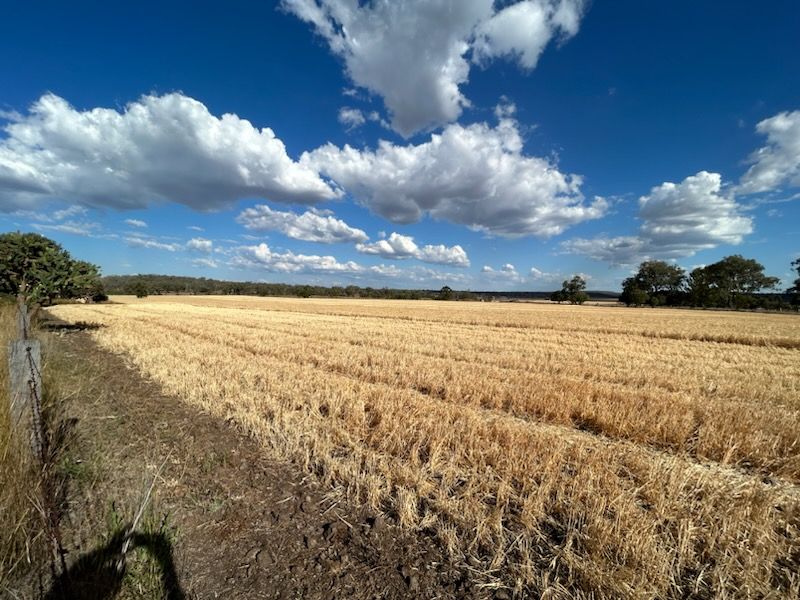 Lot 1 & 2/768 OakeyPittsworth Road, Aubigny, QLD 4401 Rural Cropping